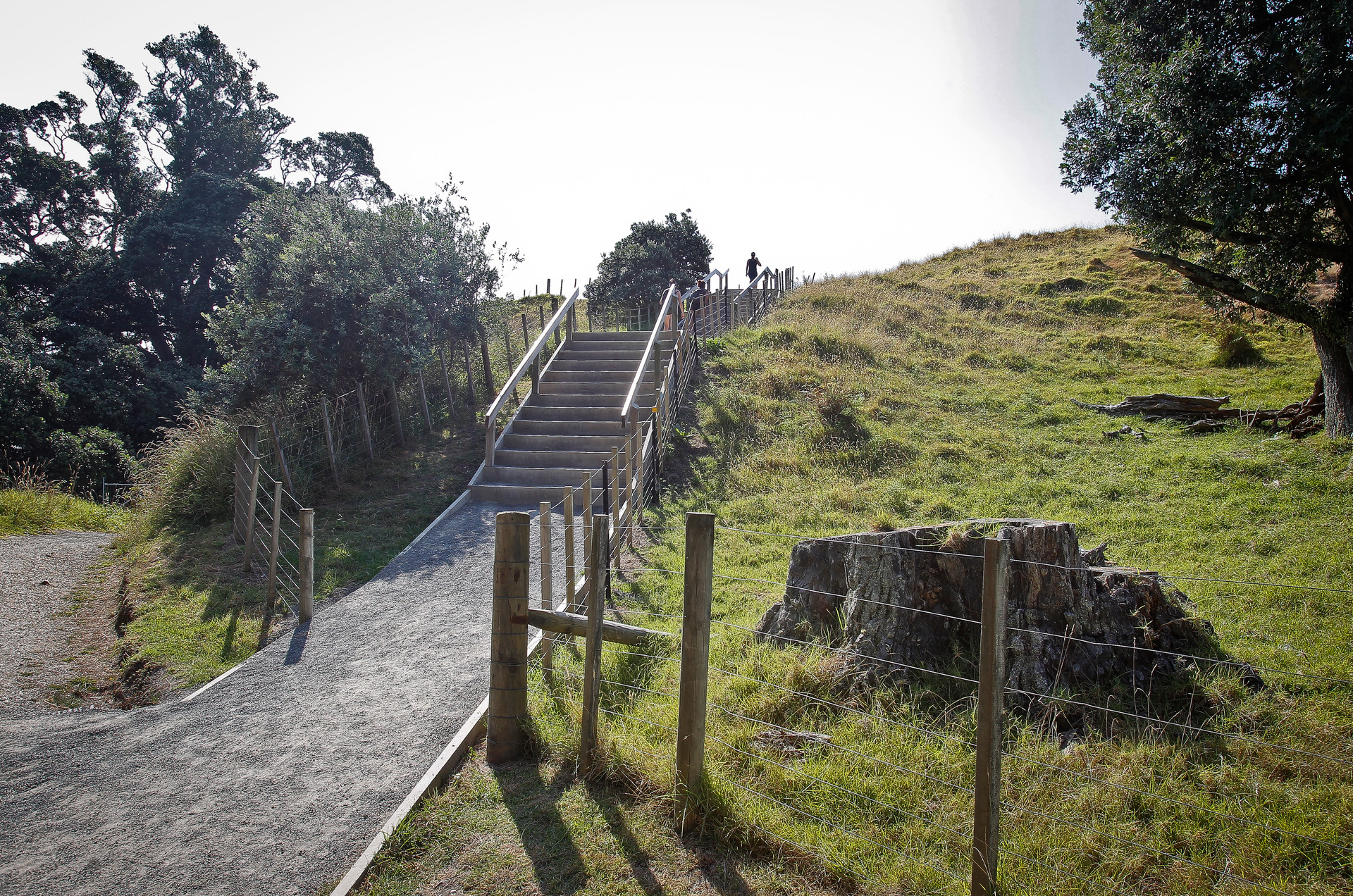 The temporary stairs. Photo / File