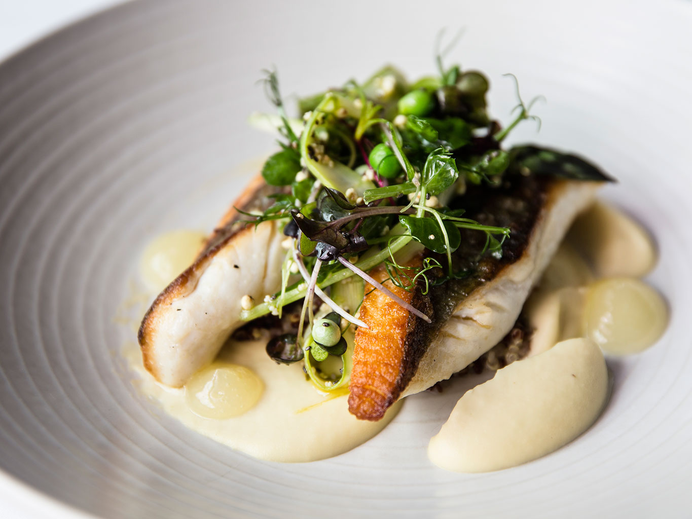 The John Dory on the menu at Sails. Picture / Guy Coombes.