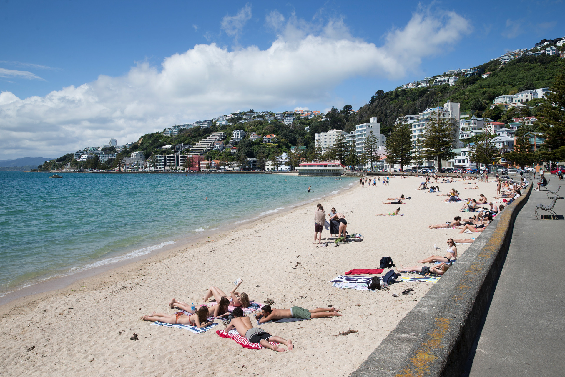 A rāhui has been lifted, meaning people can swim again in Oriental Bay after a wastewater pipe collapsed. Photo / Mark Mitchell