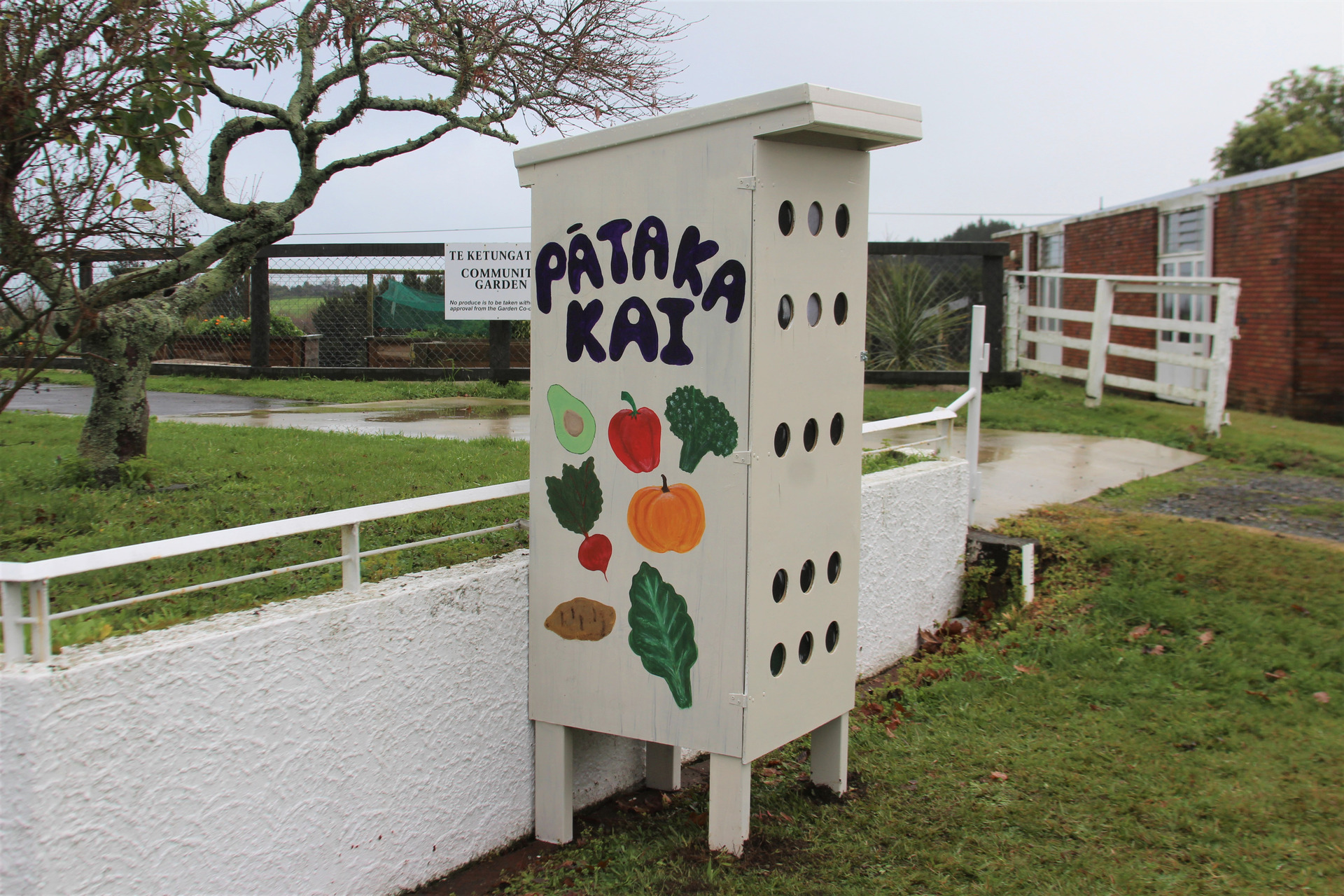 The Pātaka Kai sits out front the Te Awamutu Māori Women's Welfare League house on Lyon St in Kihikihi. Photo / Caitlan Johnston