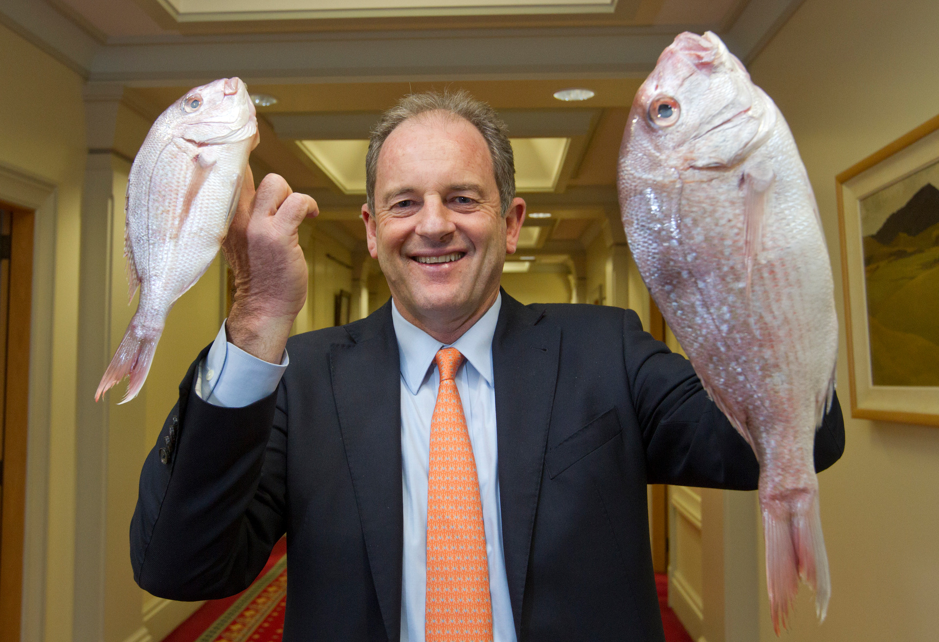 Former Labour Party leader David Shearer with two snappers - one 25cm, the legal commercial size, and the other 36cm, the proposed recreational limit size - after presenting them in the House during question time in Parliament in 2013. Photo / Mark Mitchell

