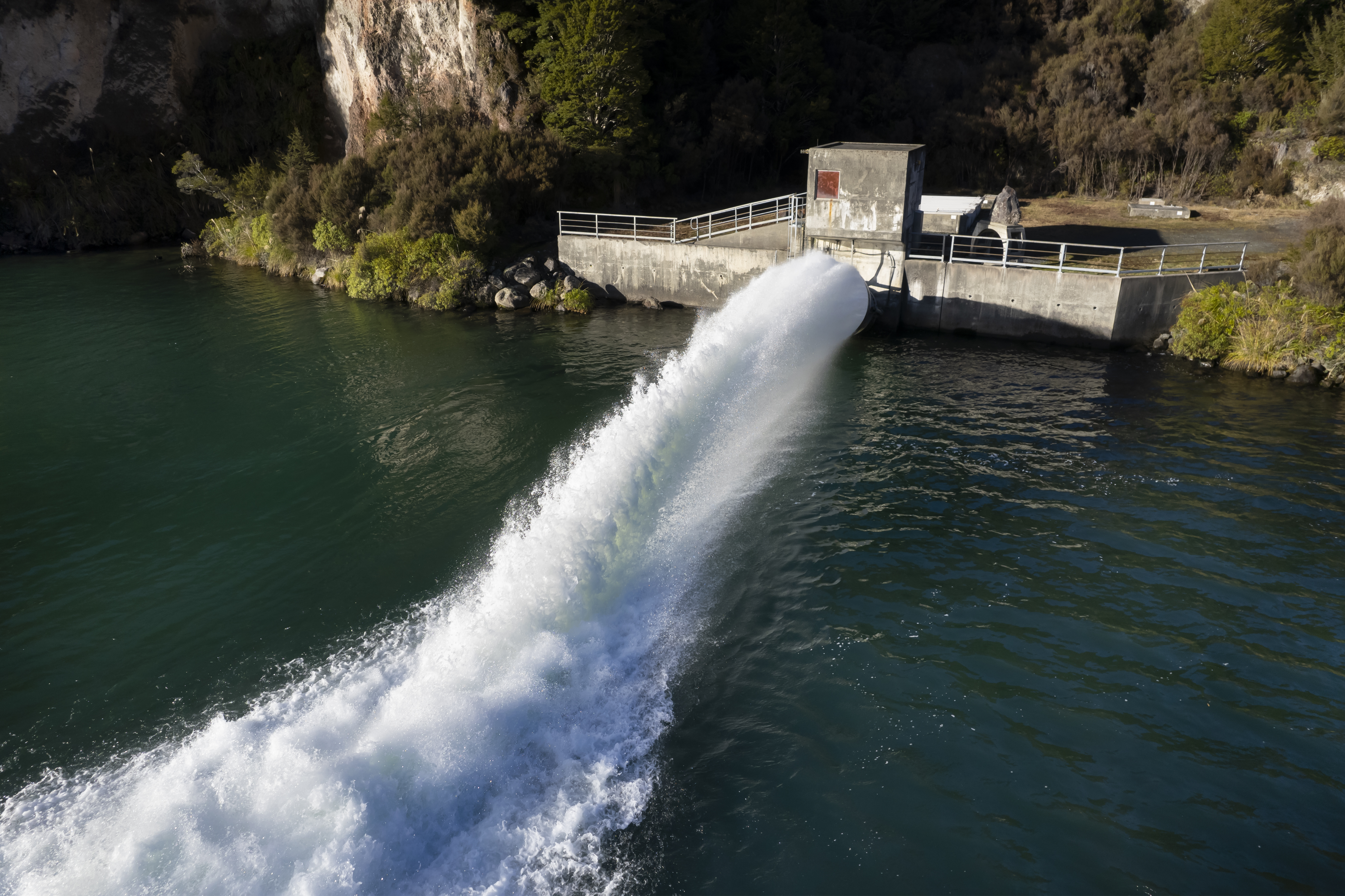 'The best situation for gentailers is most of their power comes cheap as chips, through hydro dams that the taxpayer paid for decades ago.'