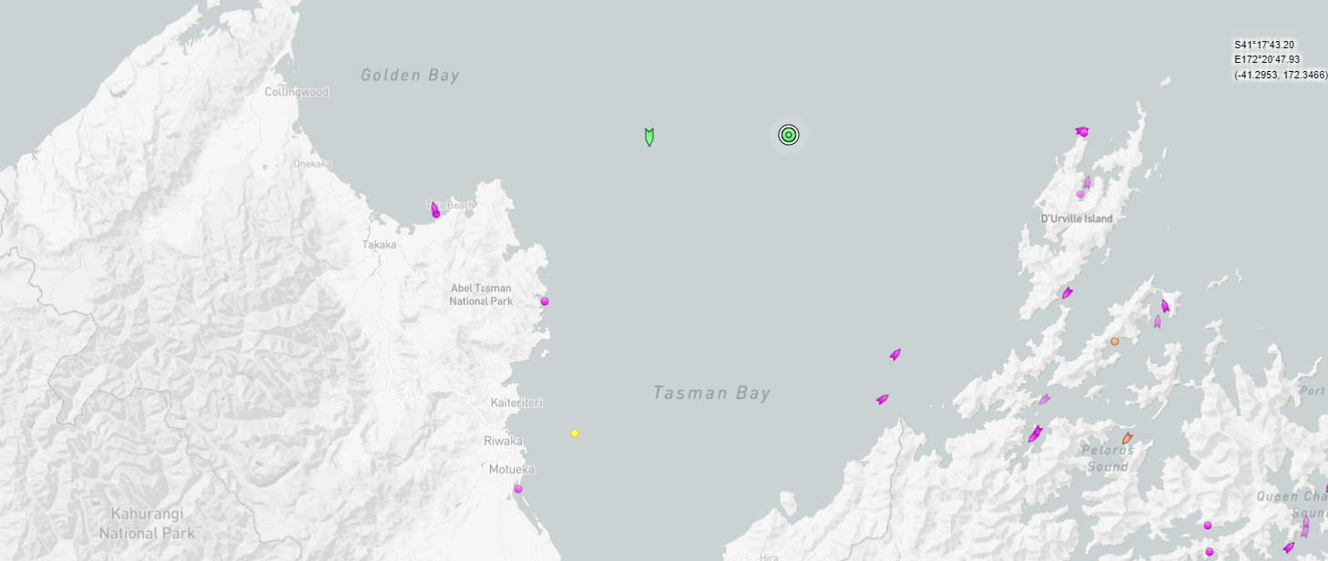 The Shiling's current position at Tasman Bay where it remains under the towage of the Skandi Emerald. Photo / MarineTraffic.com