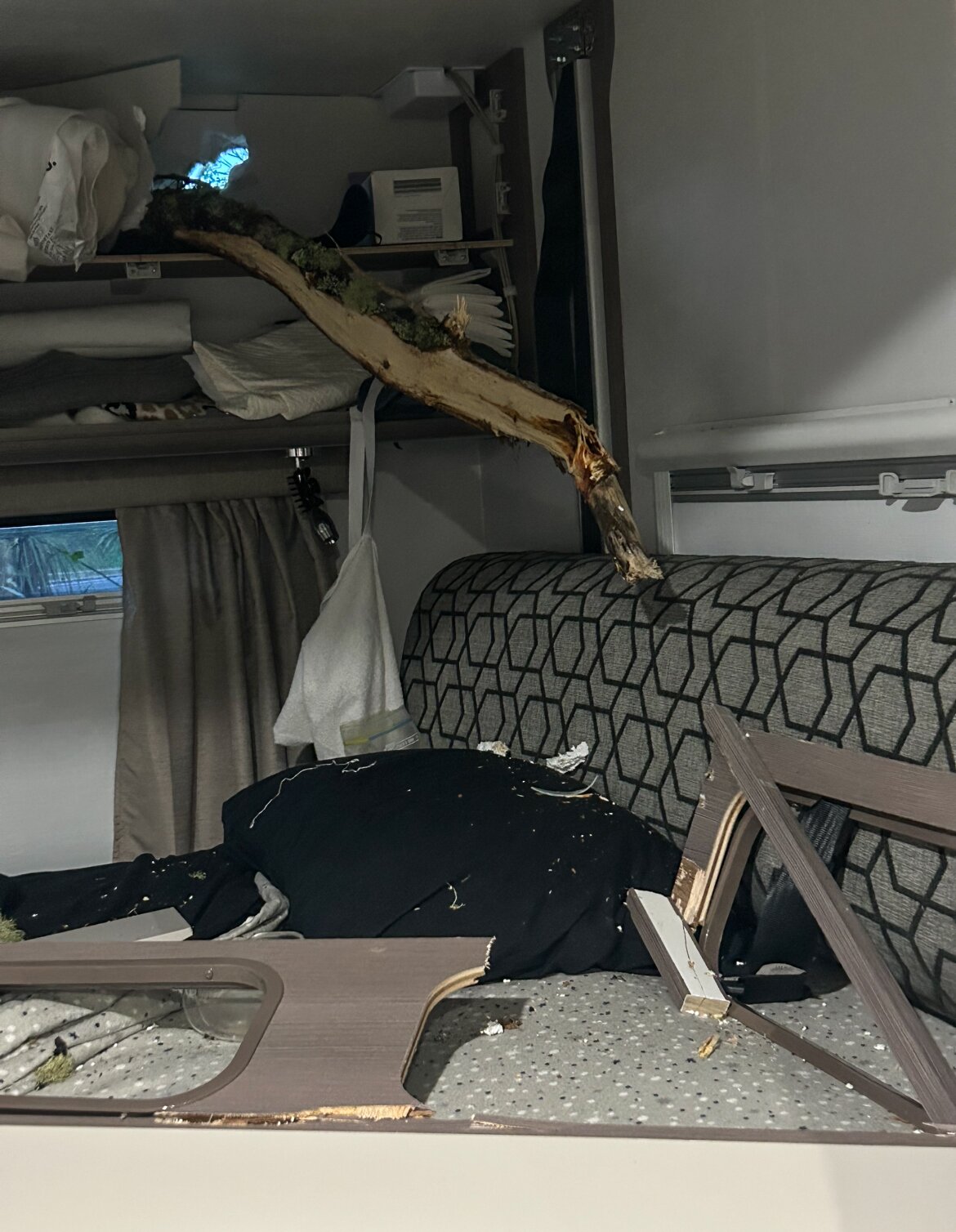 The tree limb that pierced the motorhome owned by Dianne Hope-Ede and partner Paul.