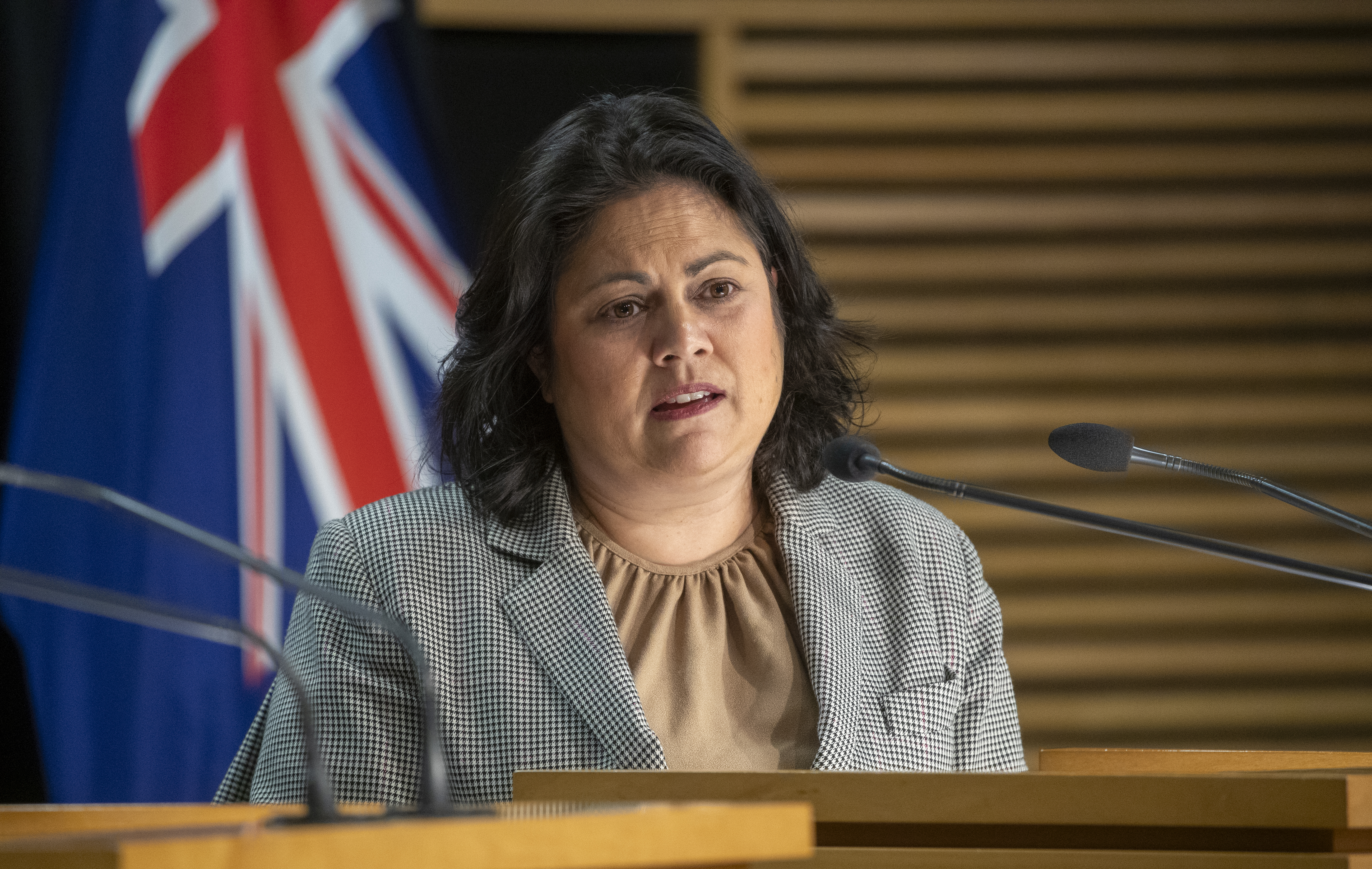 Labour health spokeswoman Ayesha Verrall. Photo / Mark Mitchell