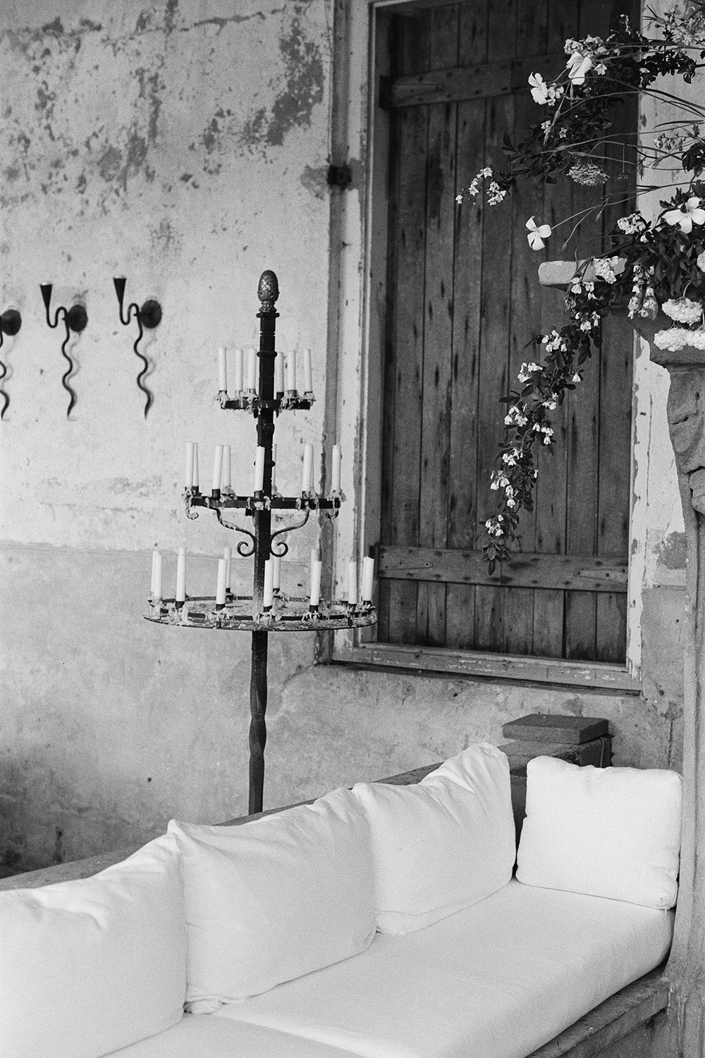 Photo / Ophelia Mikkelson Jones