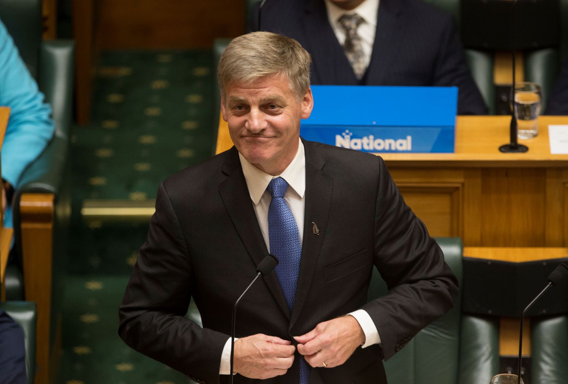 Former Prime Minister Bill English reviewed Kāinga Ora. Photo / Mark Mitchell