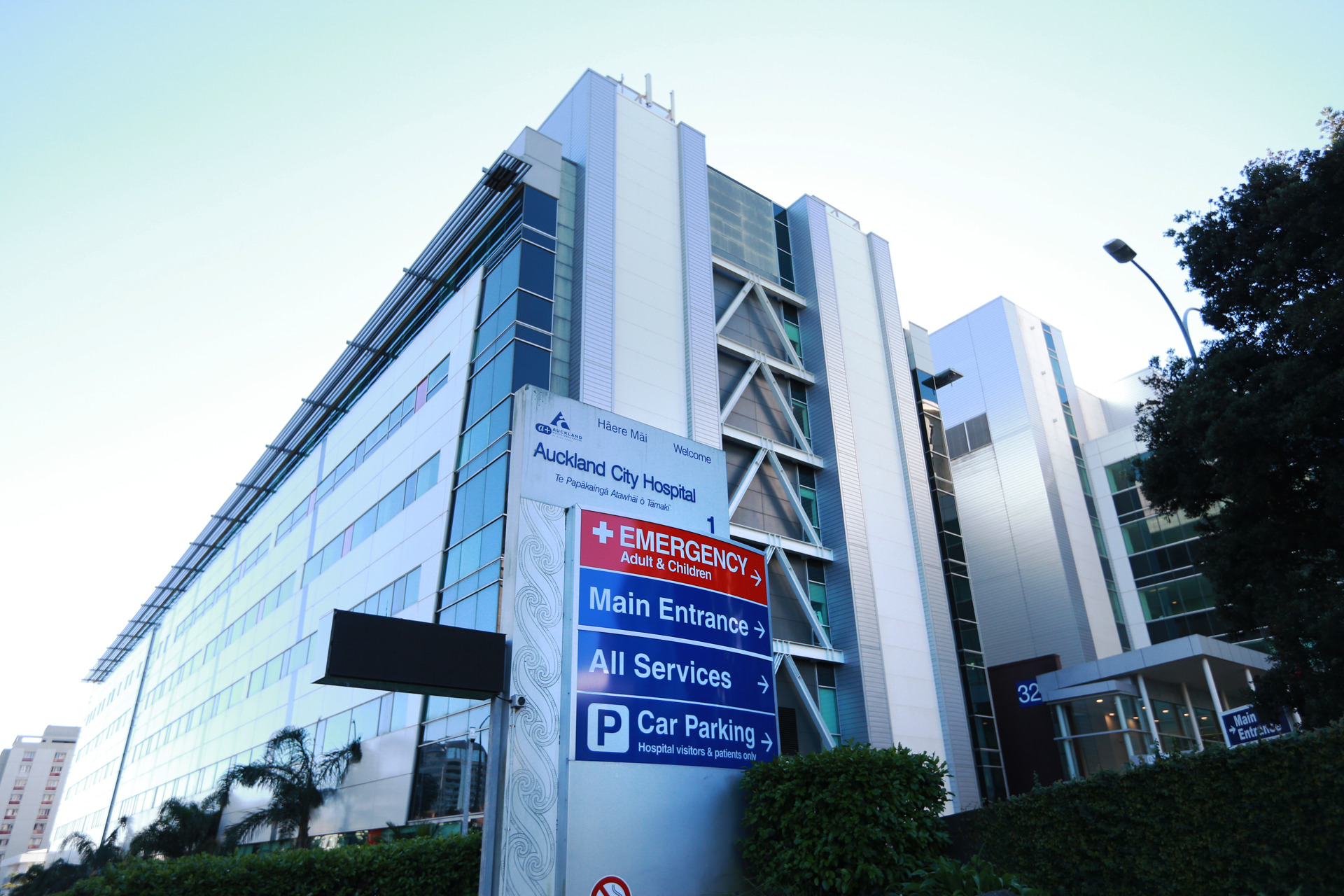 Auckland City Hospital. Photo / Doug Sherring