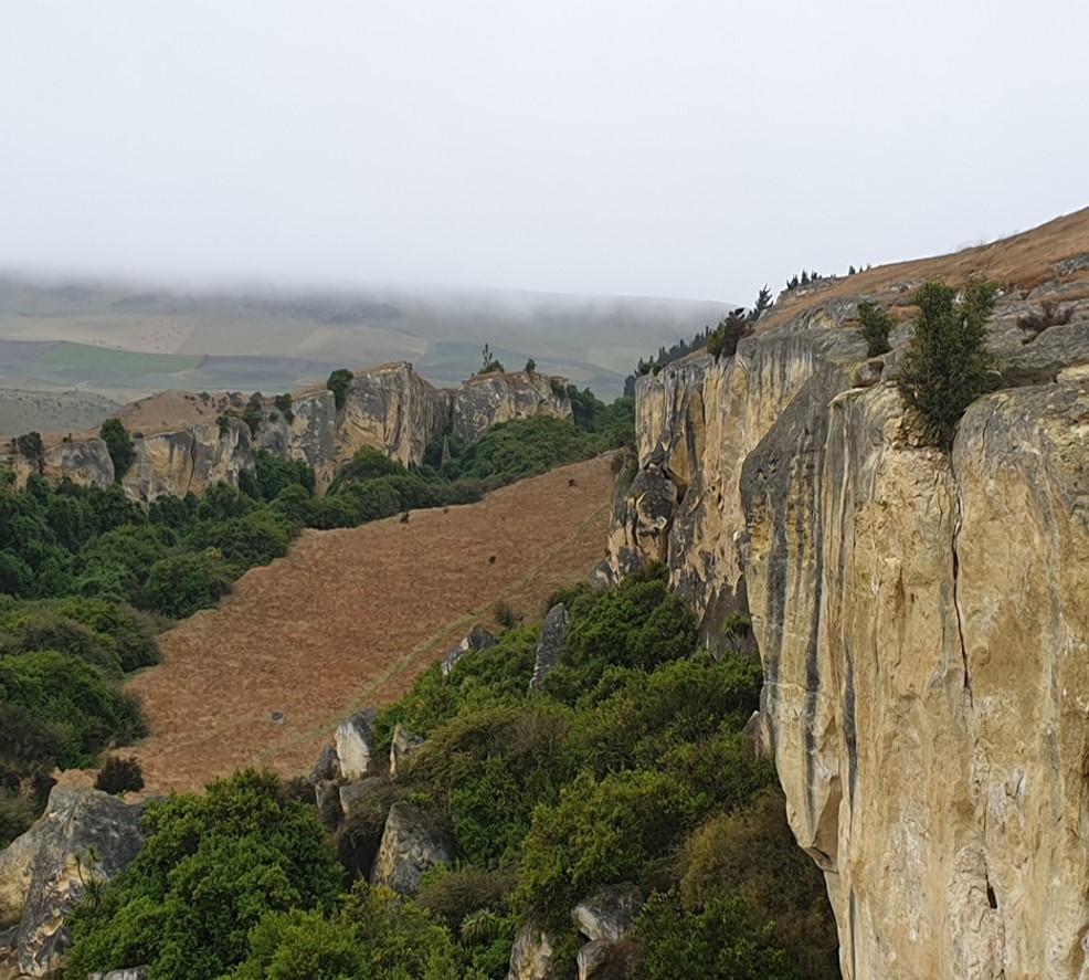 DoC is looking for $1.44m which would go to restoring a unique limestone ecosystem in the Waitaki Valley. Photo / supplied 