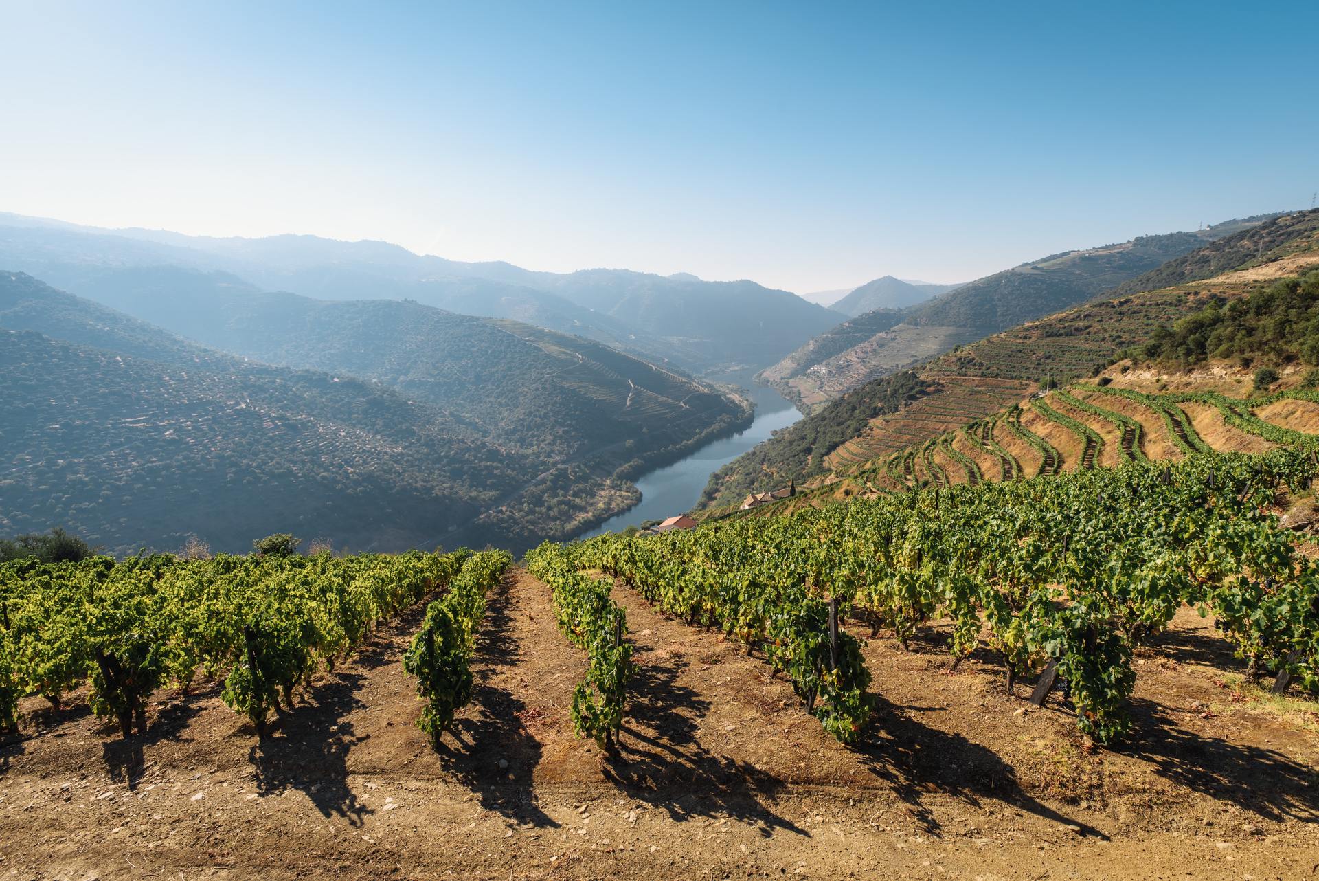 The Douro will take you through the best of Porto. Photo / Unsplash