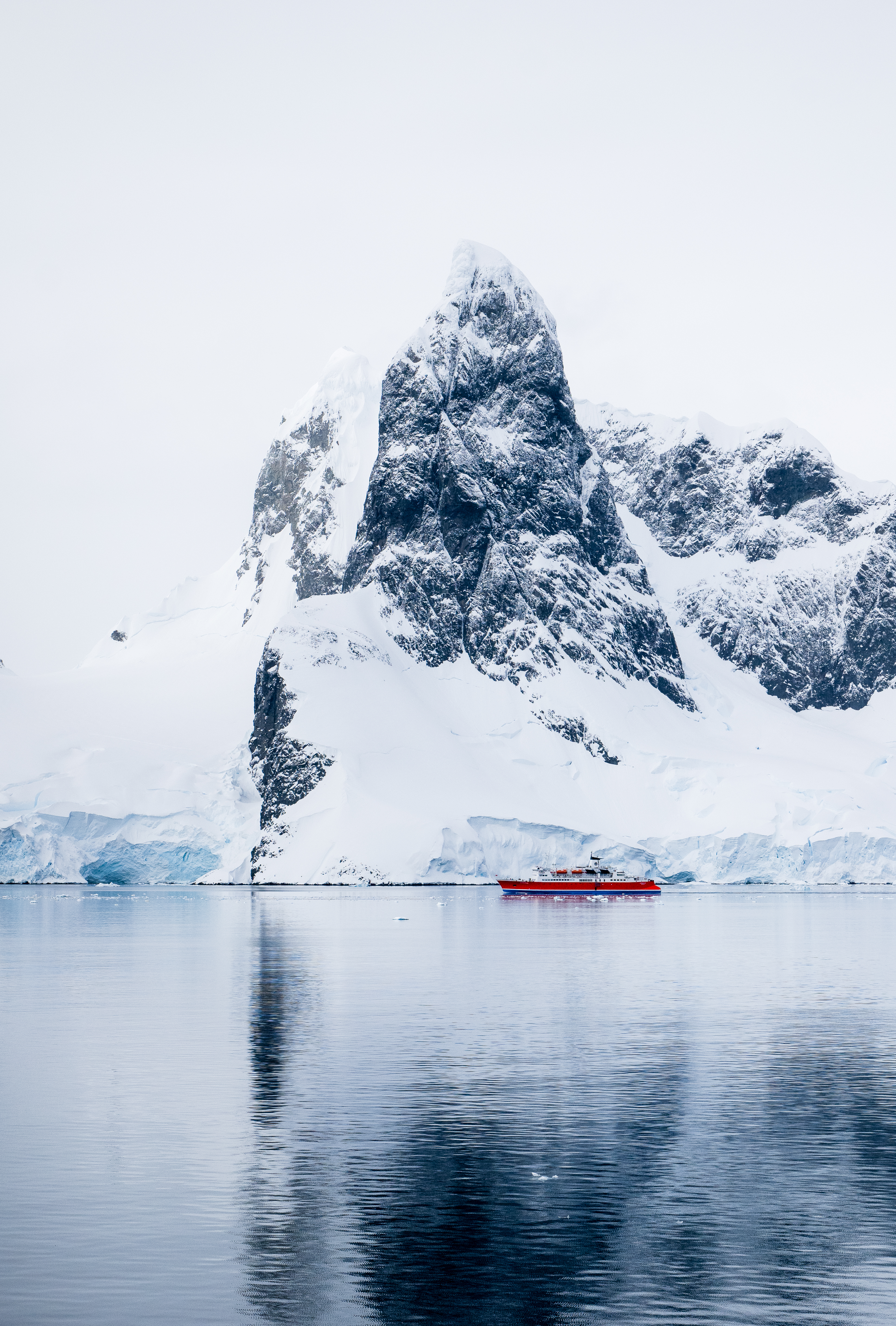 Toddyn Iceberg