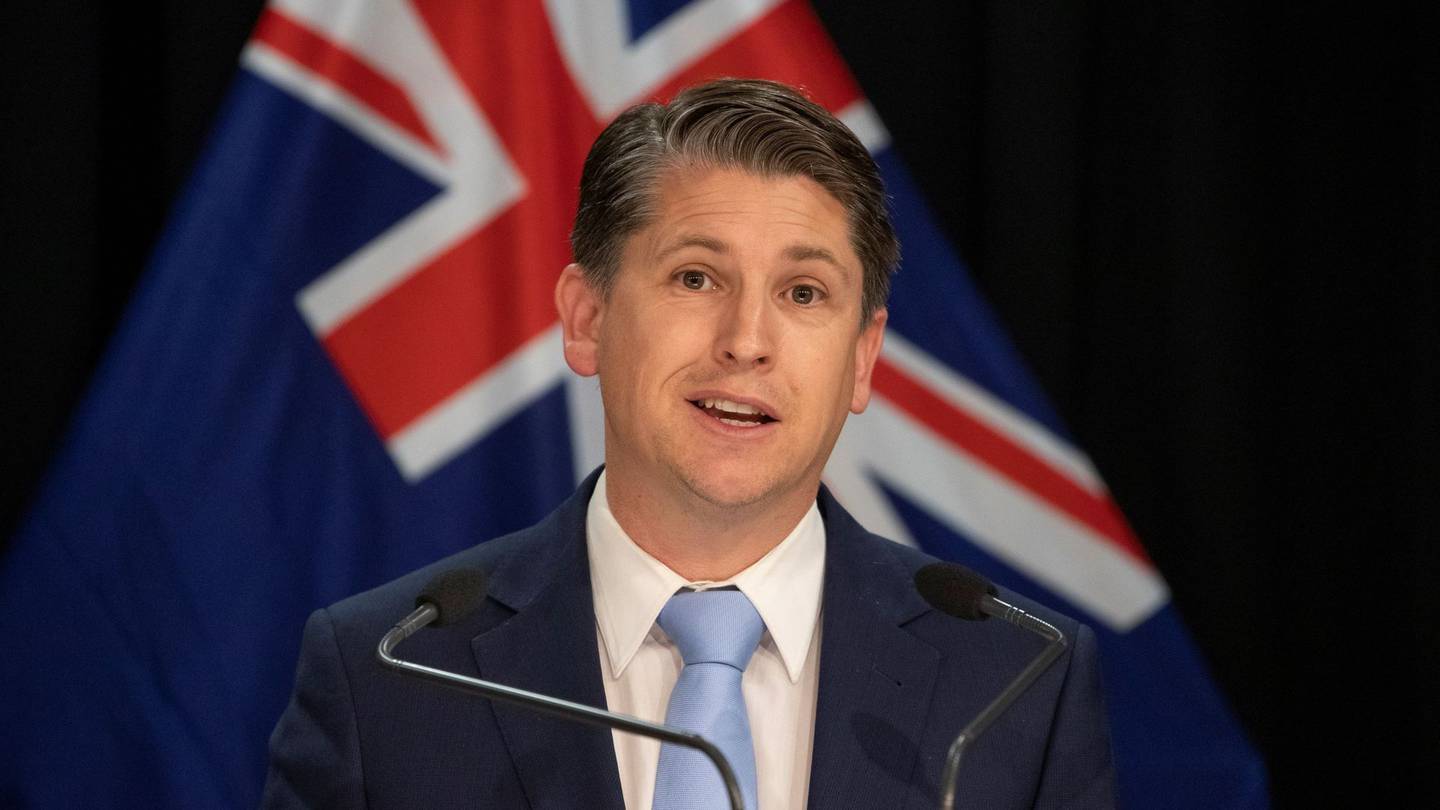Minister of Transport Michael Wood. Photo / Mark Mitchell