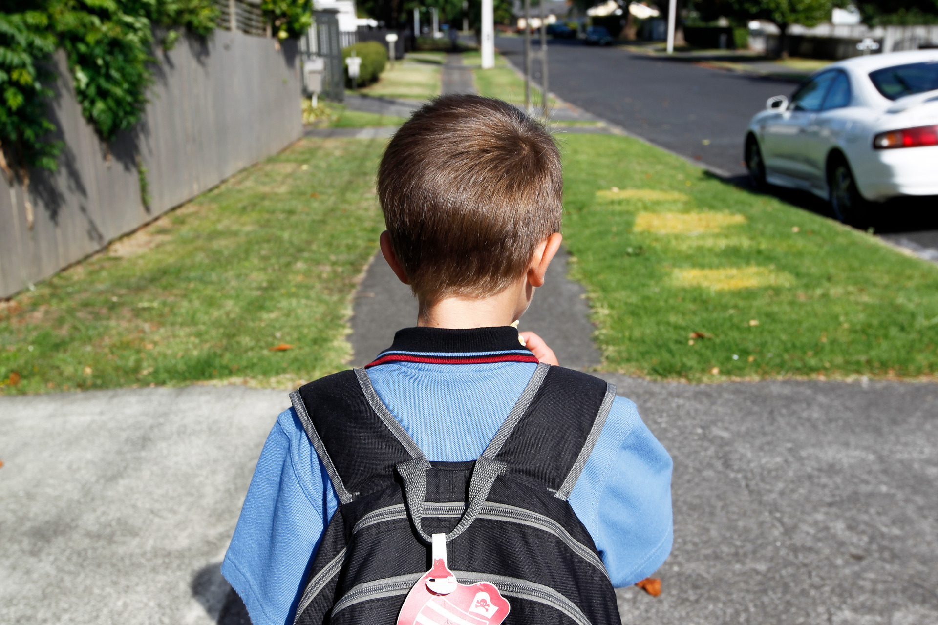 School zones are under review as part of the Ministry of Education's National Education Growth Plan which was launched in 2019. Photo / Michael Craig