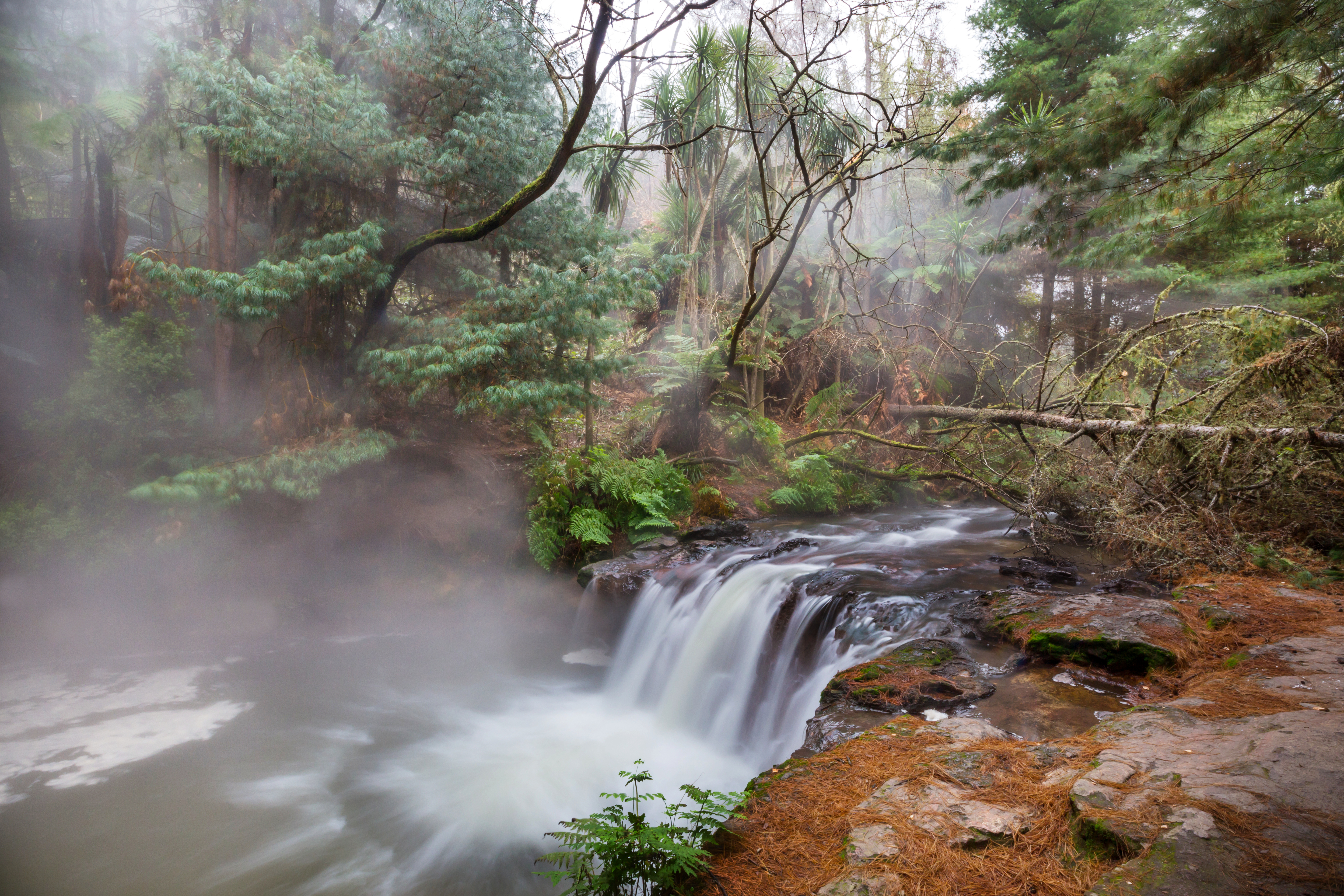 The steamy waterfall at Kerosene Creek offers an enjoyable spot for a soak. Photo / Galyna Andrushko Dreamstime