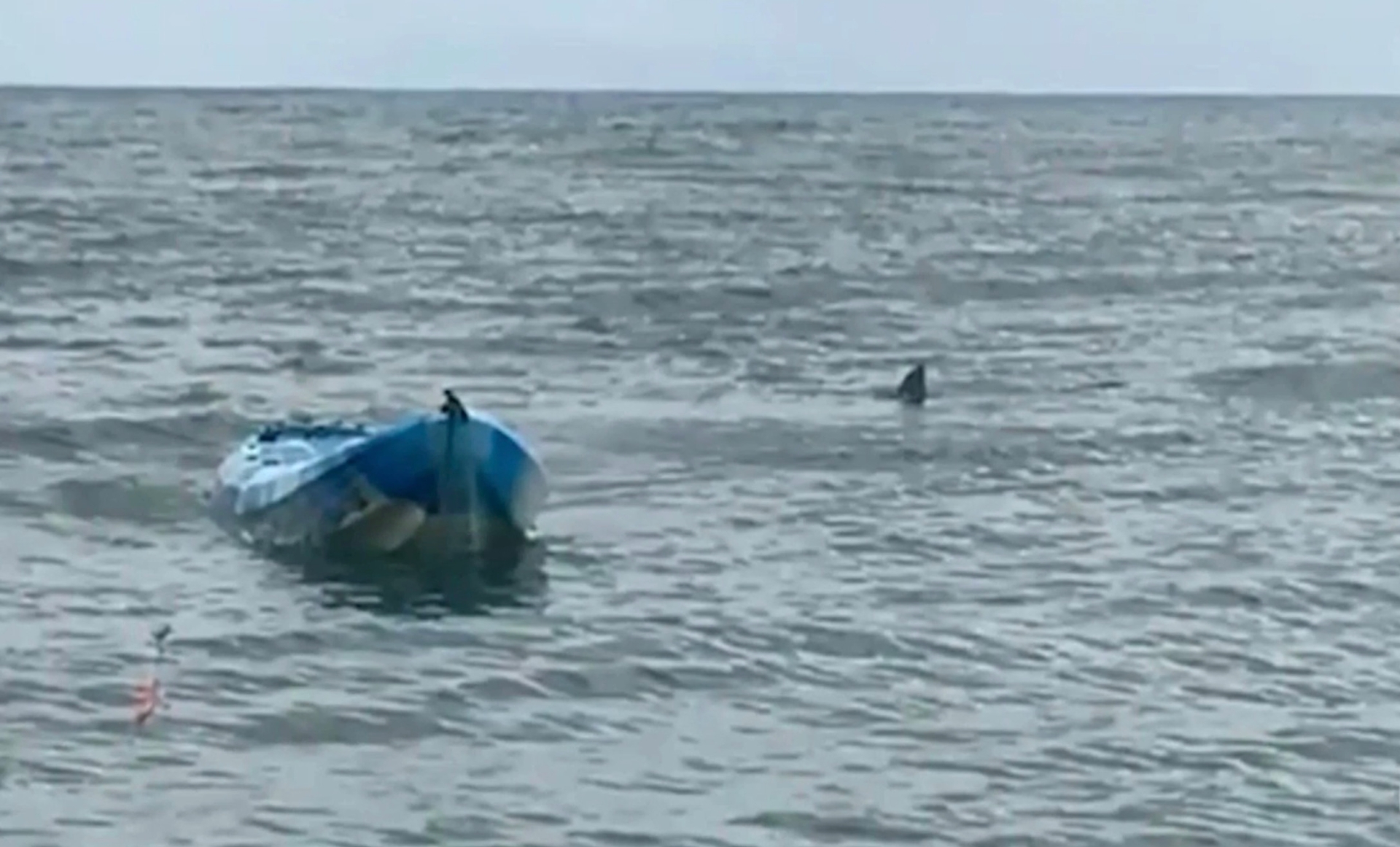 Shark knocks terrified 15-year-old girl out of her kayak in