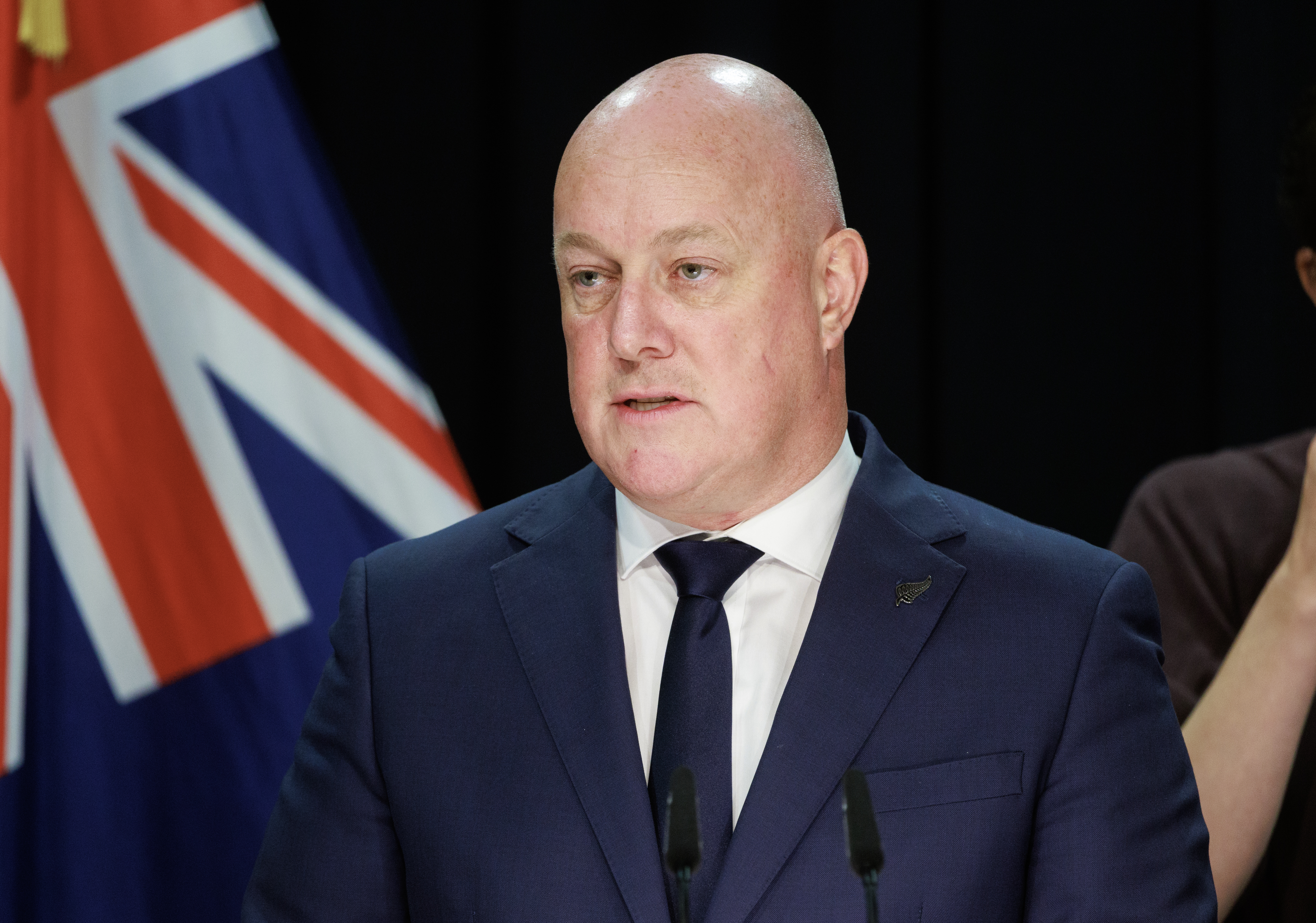 The Prime Minister said the net result would be lower power prices. Photo / Mark Mitchell