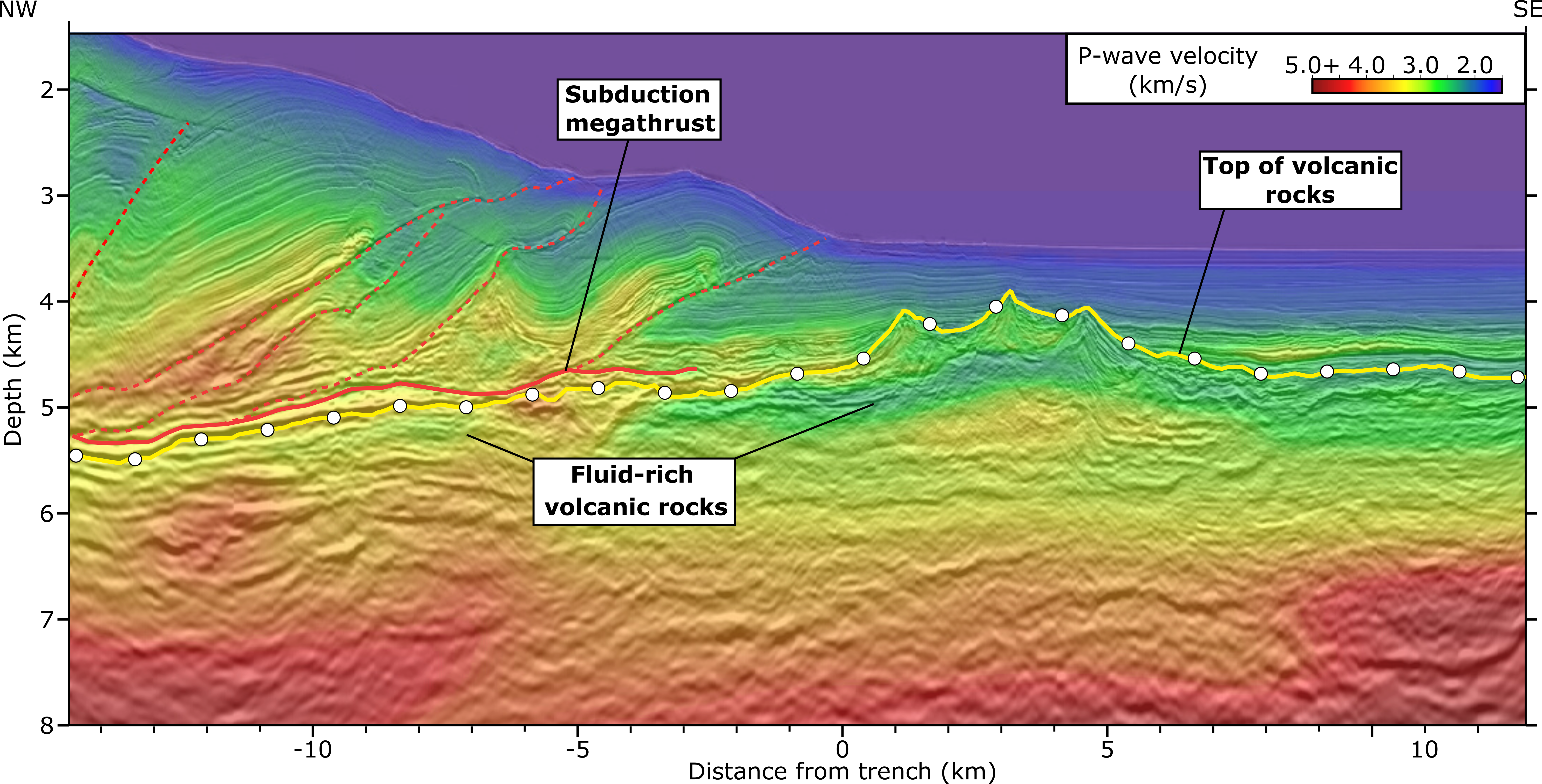 A seismic image of the Hikurangi plateau reveals details about the Earth’s interior and what it’s made of. The blue-green layer under the yellow line shows water buried within rocks. Researchers suspect the water could be dampening earthquakes at the nearby Hikurangi Subduction Zone. Image / Andrew Gase