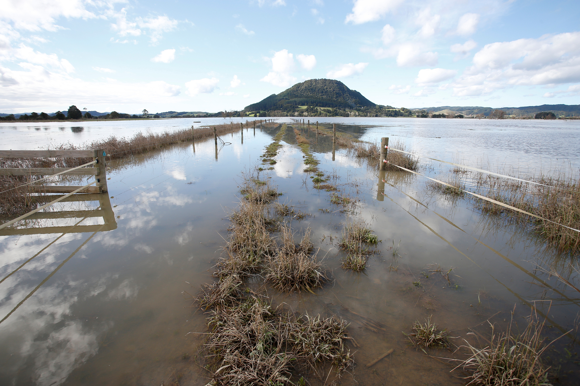 Preventing urban development on floodplains such as the Hikurangi Swamp reduces the risk of severe flooding. Photo / Michael Cunningham