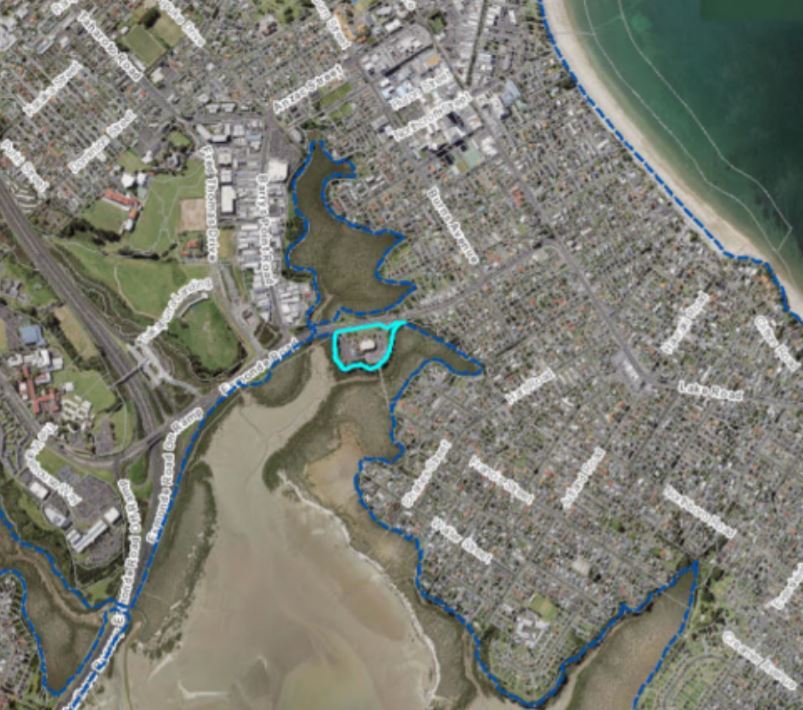 48 Esmonde Rd, outlined in teal. Photo / supplied