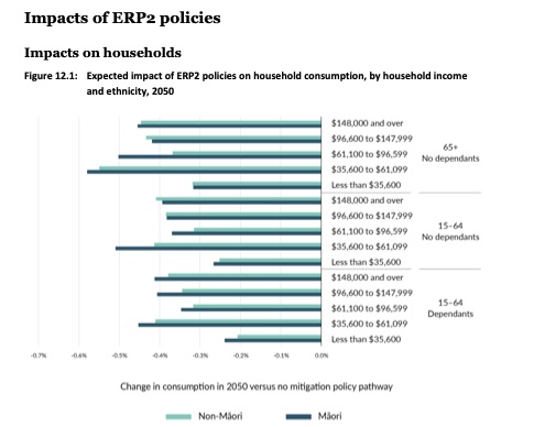 Impact by household. Graphic / ERP