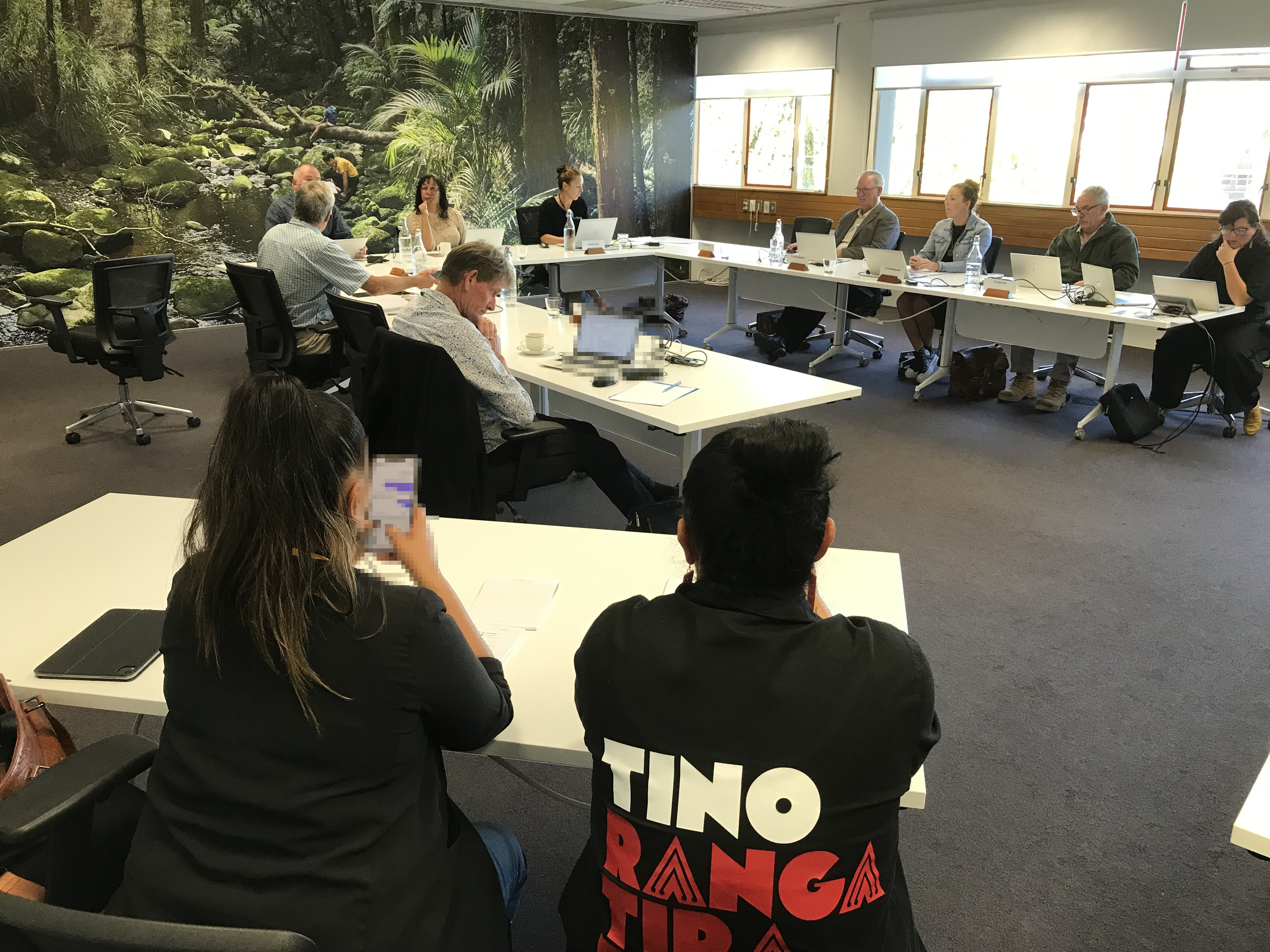 Northland Regional Council decided to push back against signalled Government Māori ward changes. Photo / LDR