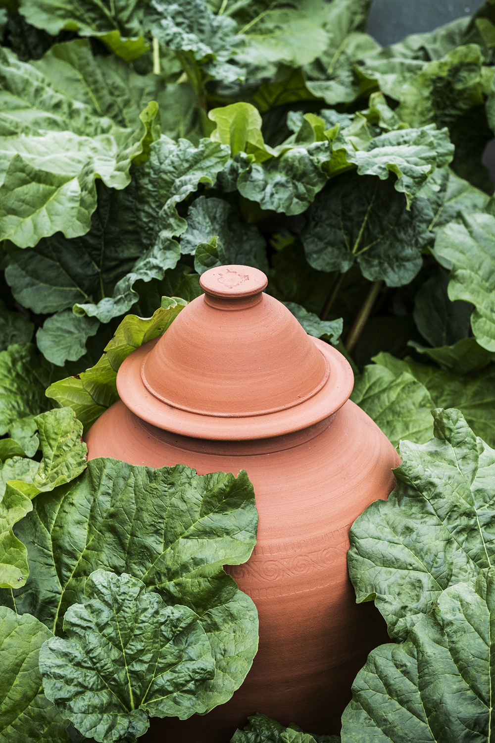 A large vessel may create a centre point from which other elements in the garden will then seem to radiate. Photo / Getty Images