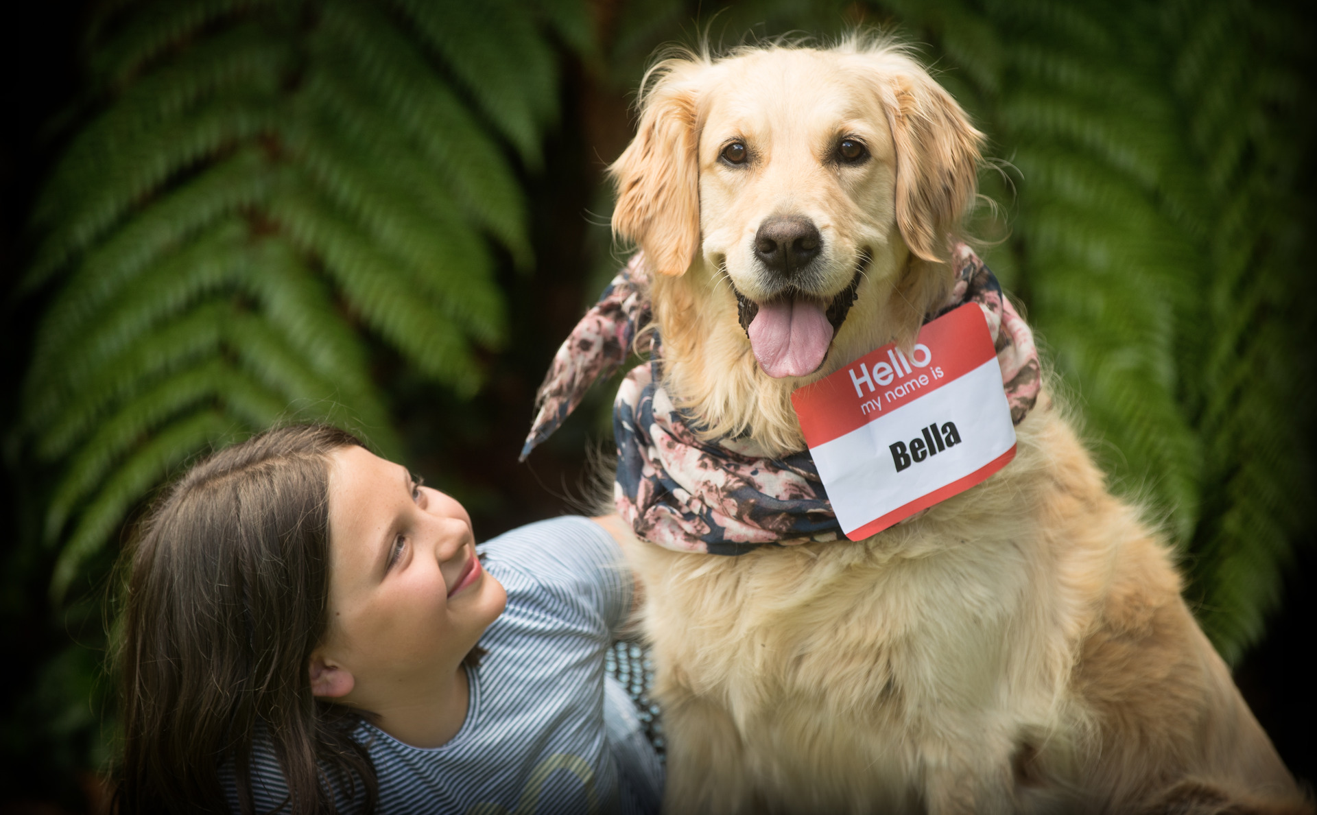 Bella Max And Poppy Top Three Most Popular Dog Names In Rotorua Nz Herald