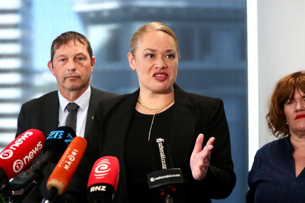 Wellington Mayor Tory Whanau speaks to media after the Government appointed a Crown observer to the city's council. Photo / Mark Mitchell