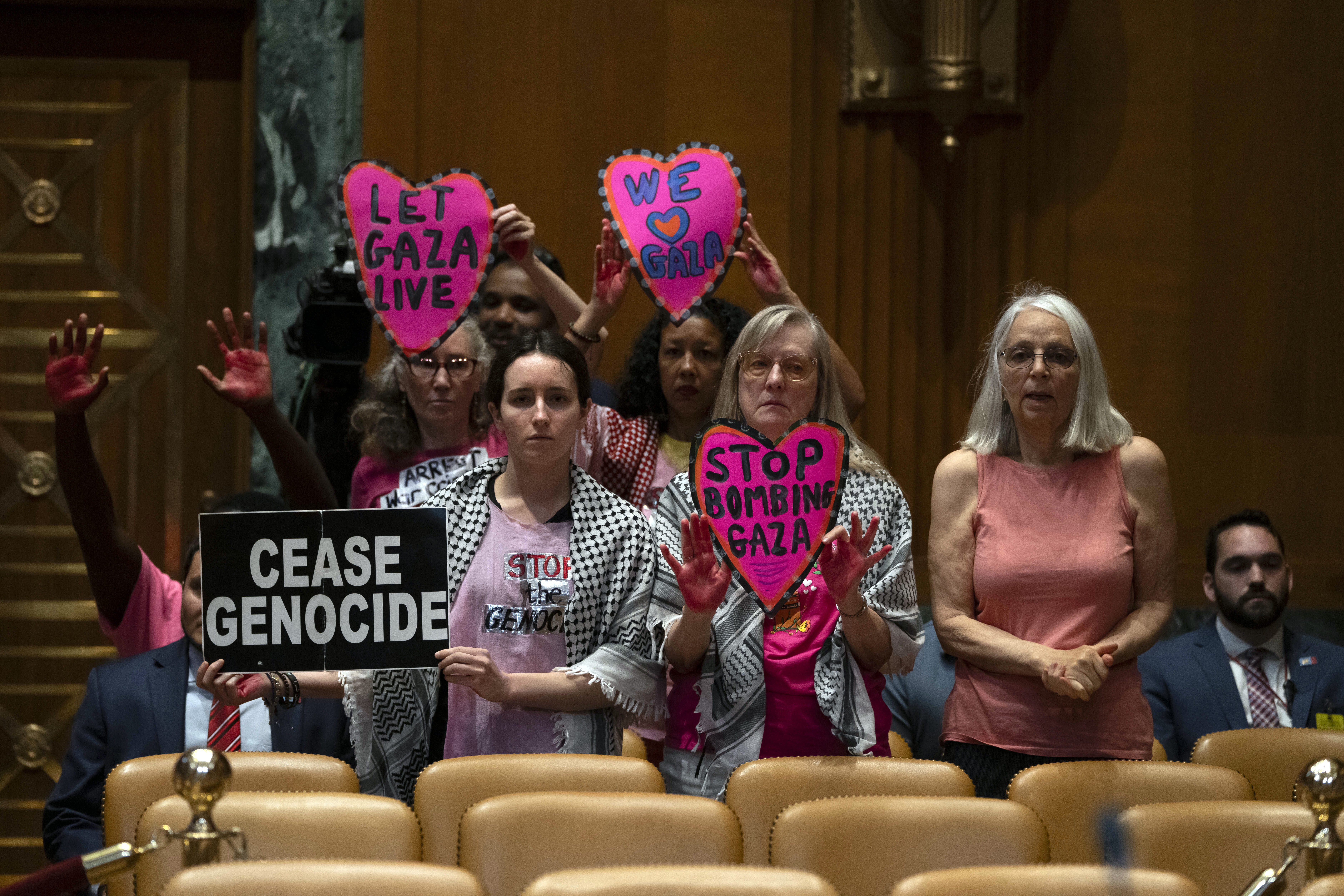 Protestors opposed to the war between Israel and Hamas stand before a hearing. Photo / AP