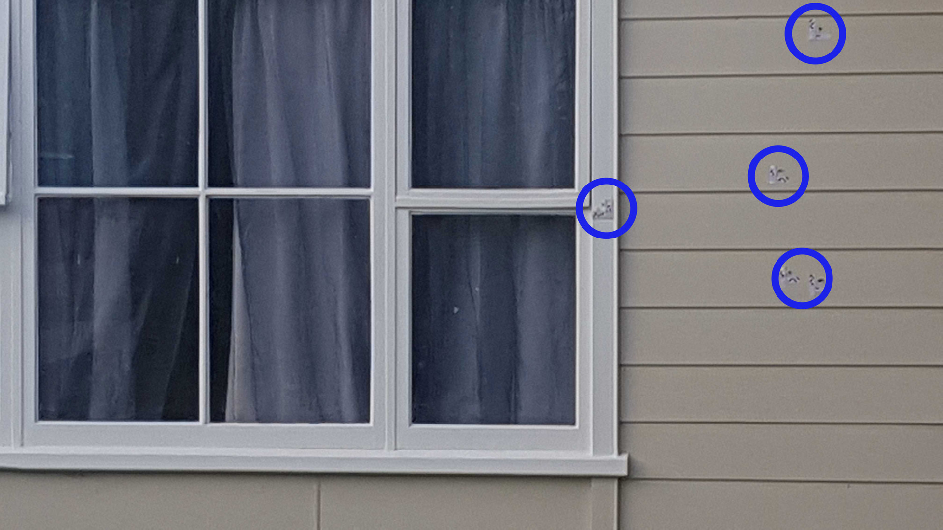 The house in suburban Tauranga is peppered with bullet holes following a shooting. Photo / Sandra Conchie