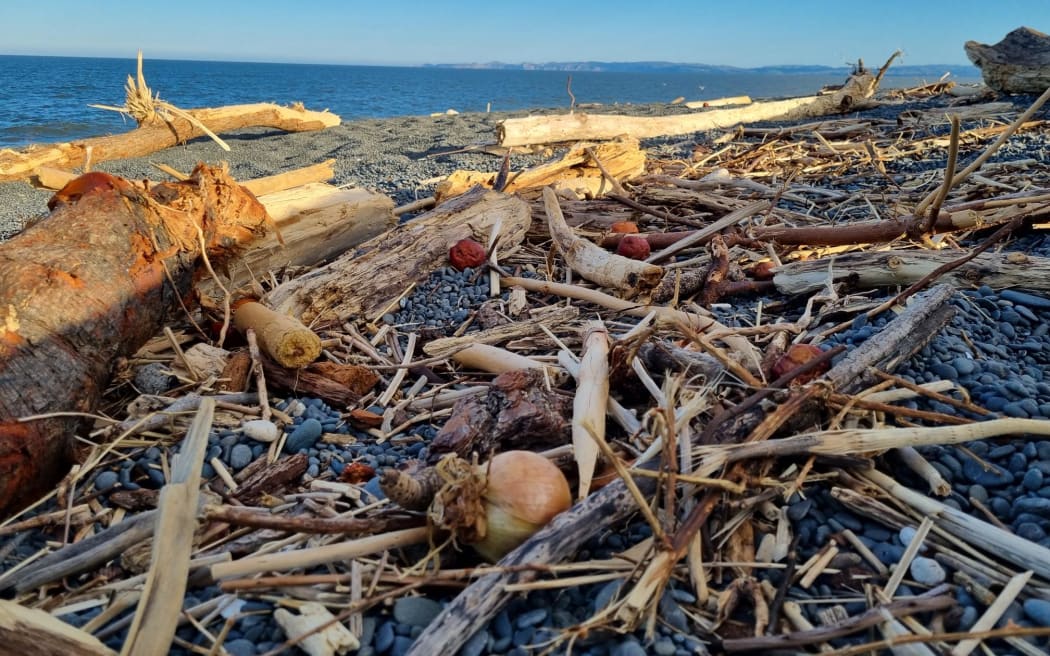Produce - including apples, onions, pumpkins and pineapples - rotting at Napier Beach's shore on February 20. Photo / RNZ / Soumya Bhamidipati
