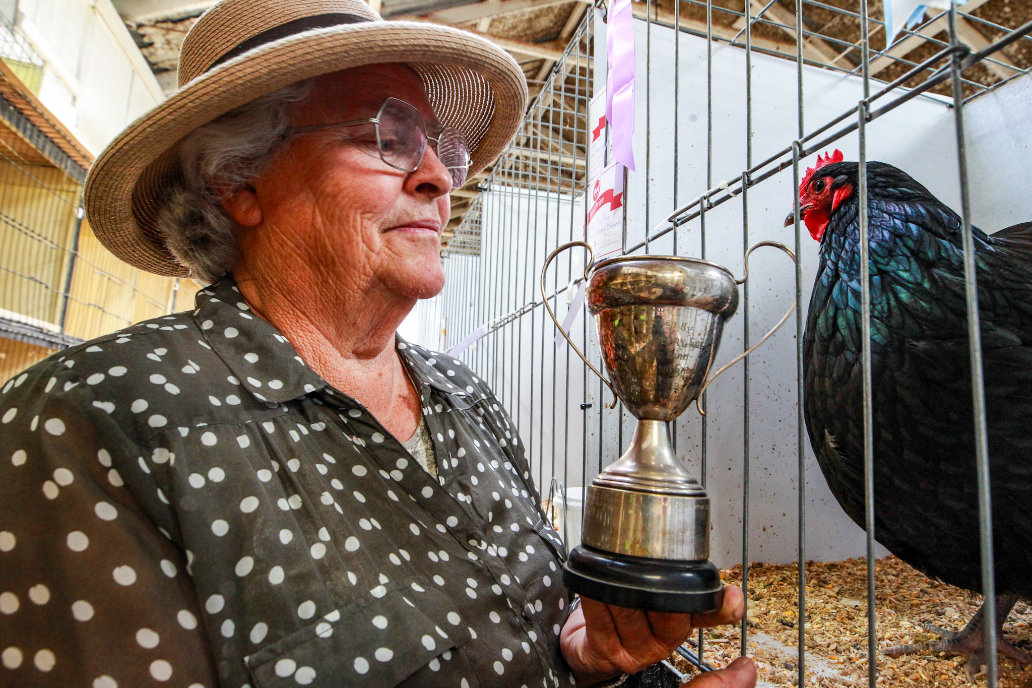 Margaret Fullerton-Smith with her black Orpington, winner of Best Heavy Breed and Best in Show, taking out the Dudding Cup for the fifth time.