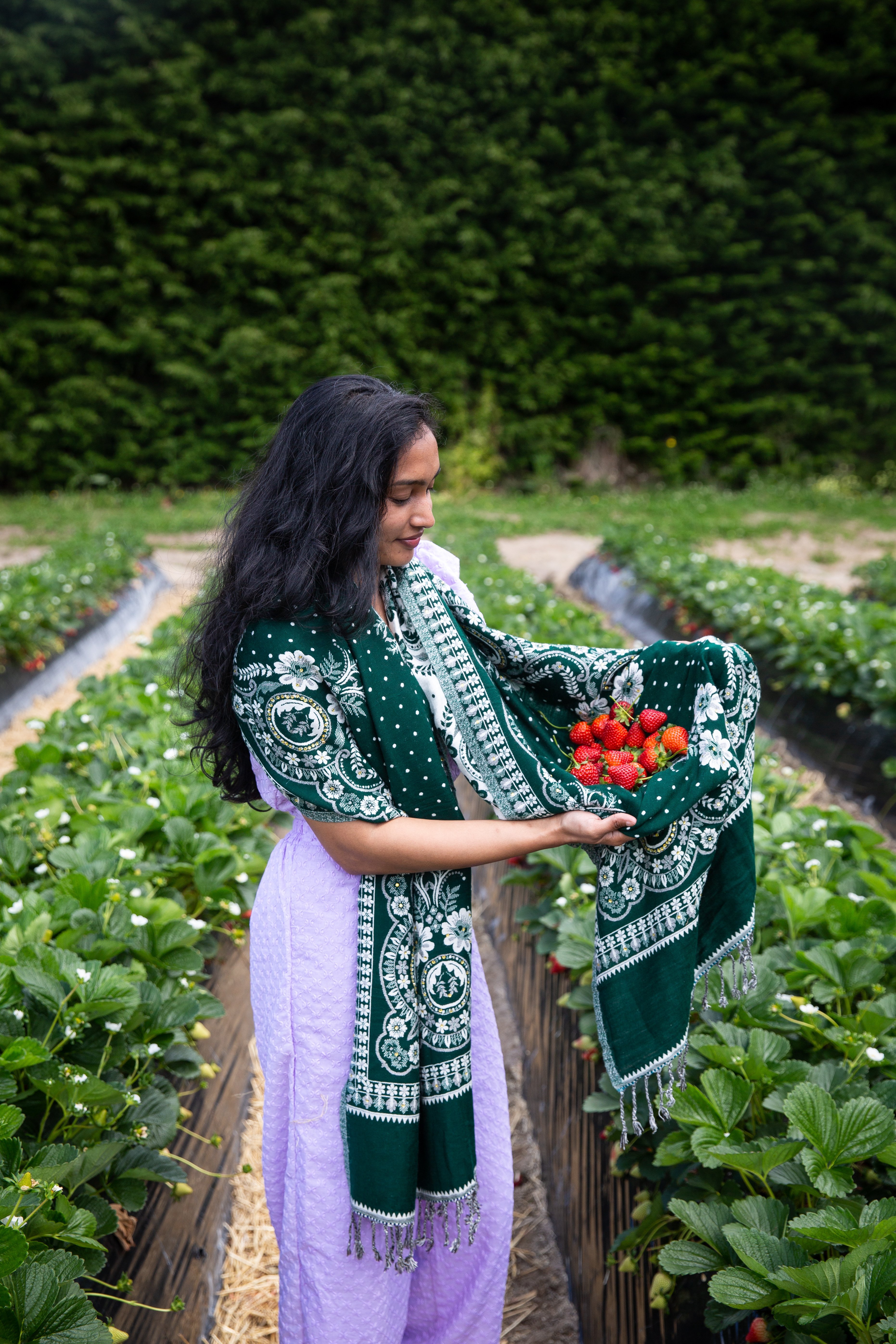 Isha Bodara was looking forward to an ice cream after her haul of pick-your-own strawberries. Photo / Sylvie Whinray