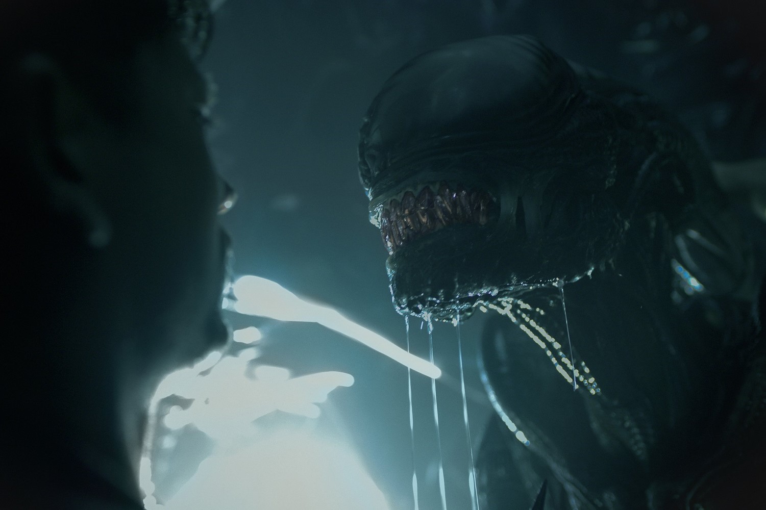 Bjorn (Spike Fearn) and a xenomorph in Alien: Romulus. Photo / Disney Studios