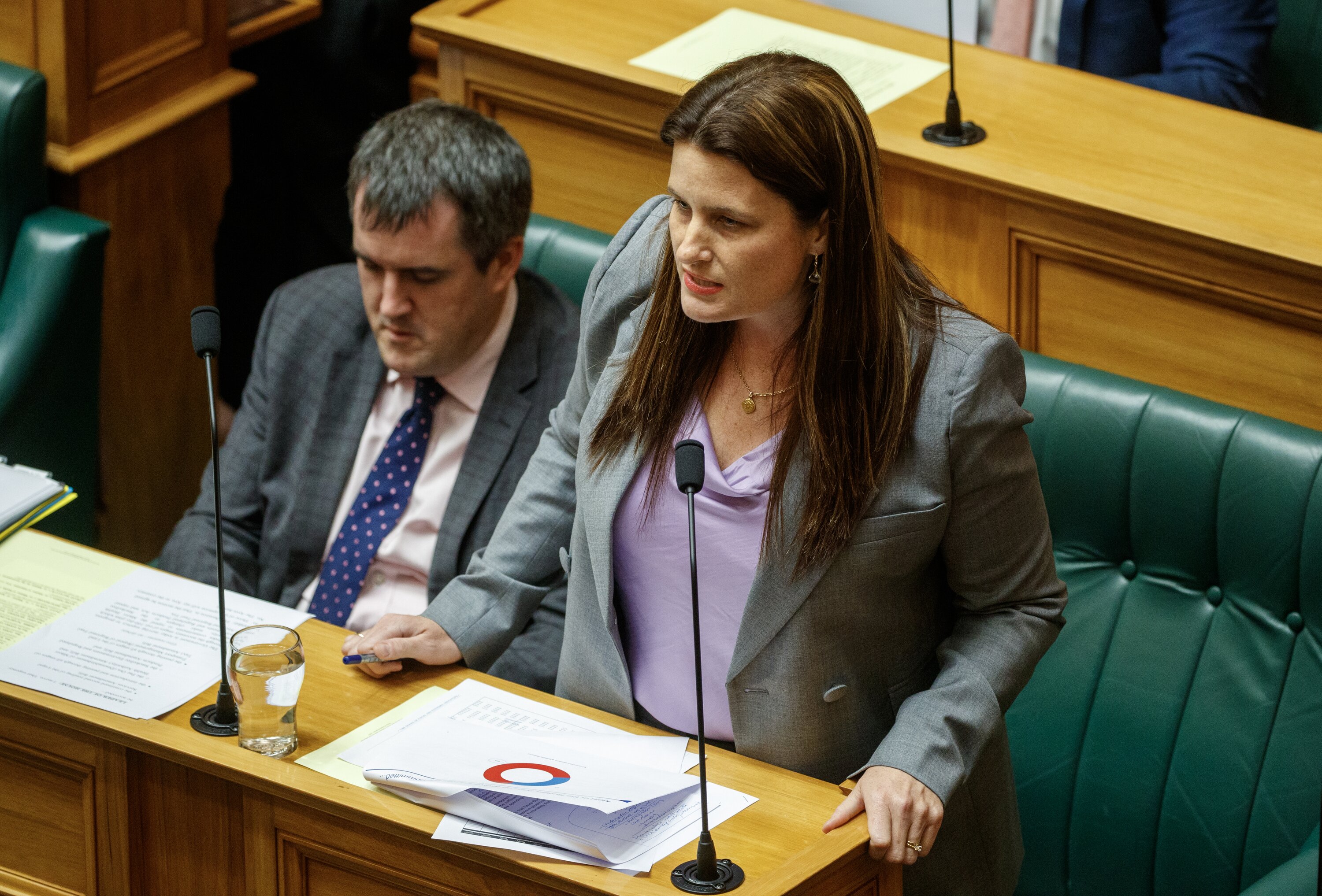Finance Minister Nicola Willis told Parliament Labour left the books in structural deficit. Photo / Mark Mitchell.