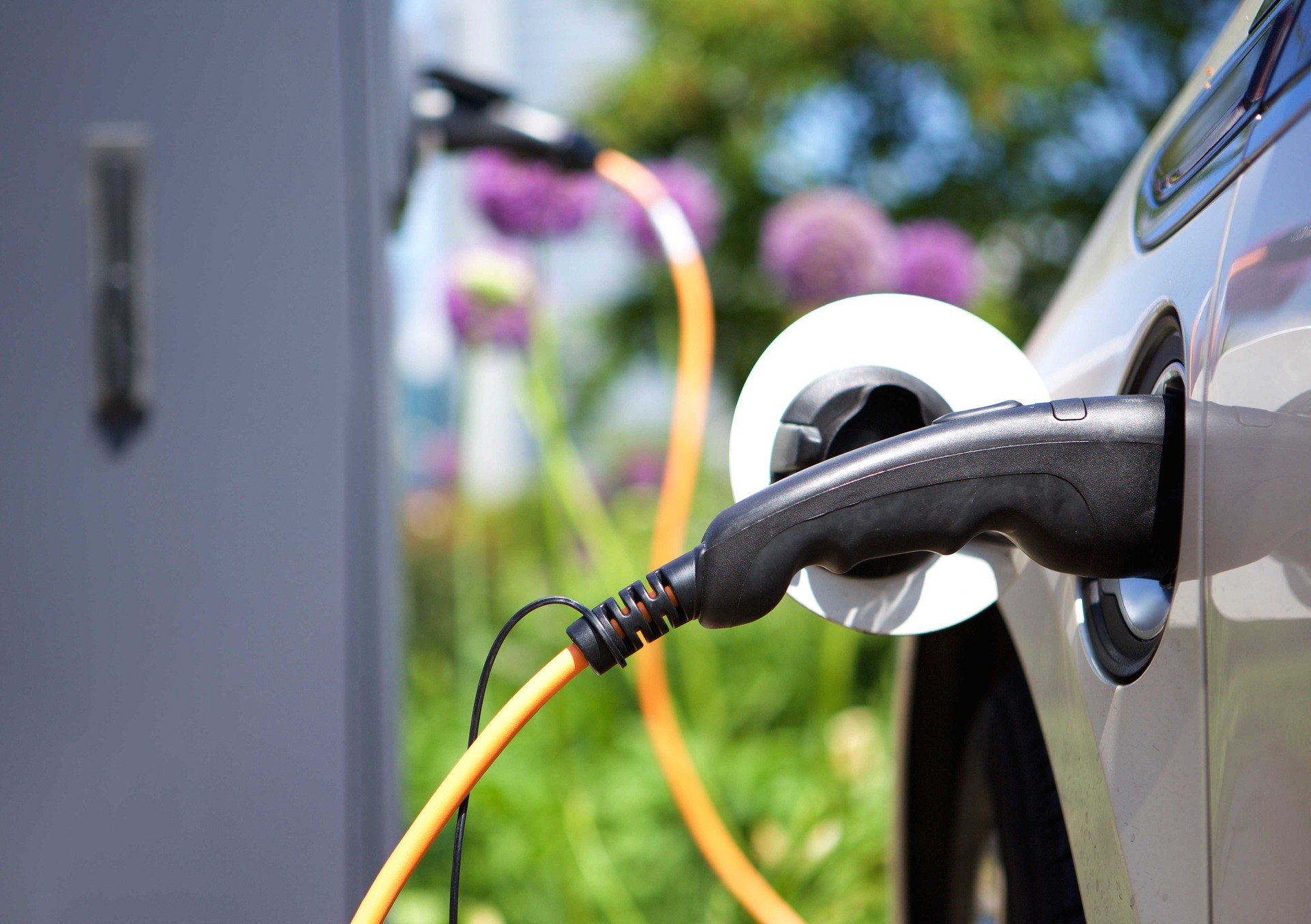 Evidence suggests that EVs risk an environmental catastrophe. Photo / 123RF