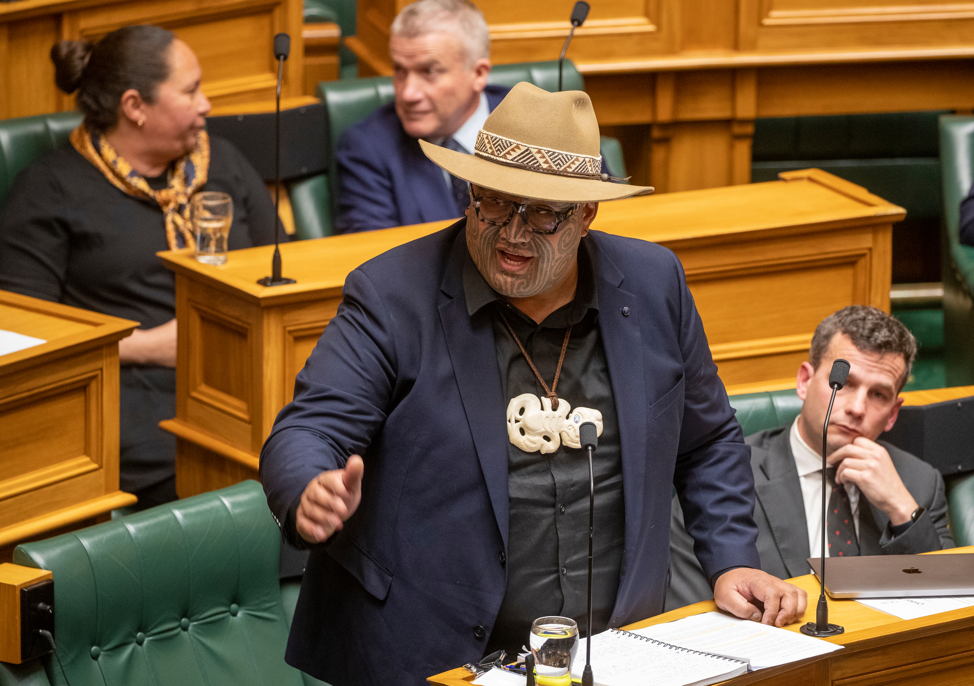 Te Pāti Māori co-leader Rawiri Waititi. Photo / Mark Mitchell