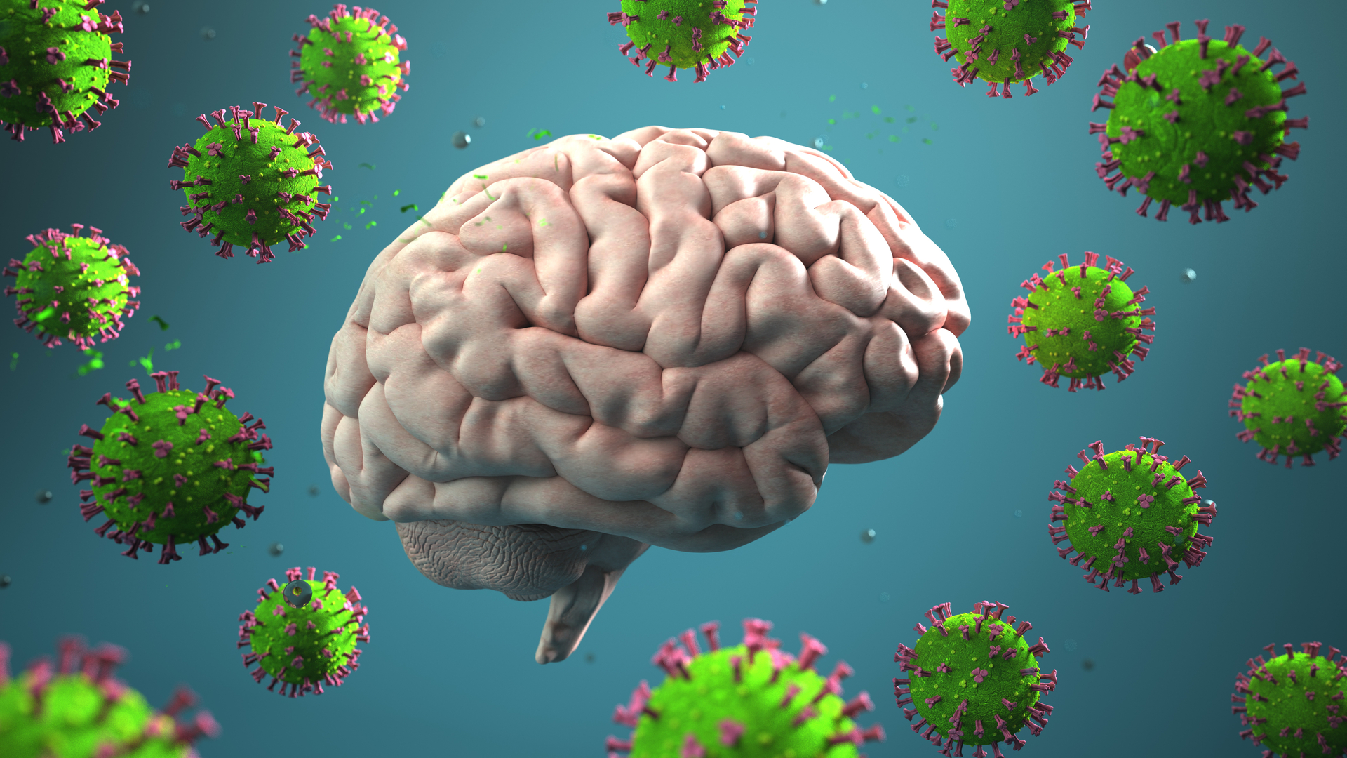 Scientists have revealed some of the strongest evidence yet that Covid-19 can harm our brains - particularly in areas linked to smell and memory. Image / 123RF