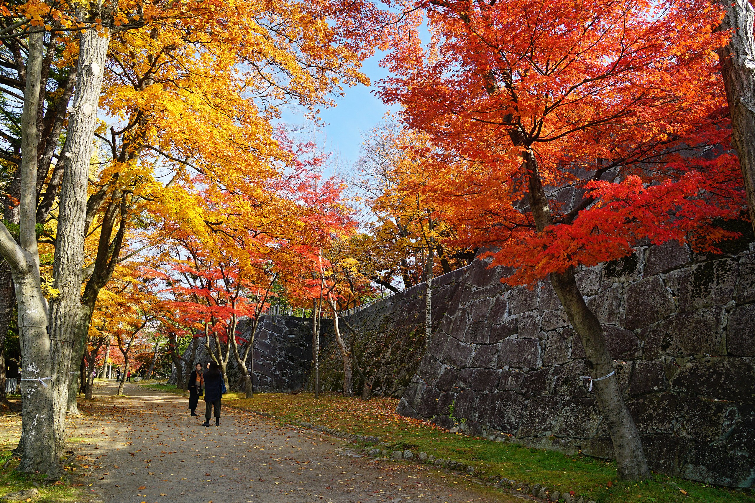 Autumn at Morioka Castle, in Iwate prefecture, Japan. Photo / 663highland, Creative Commons