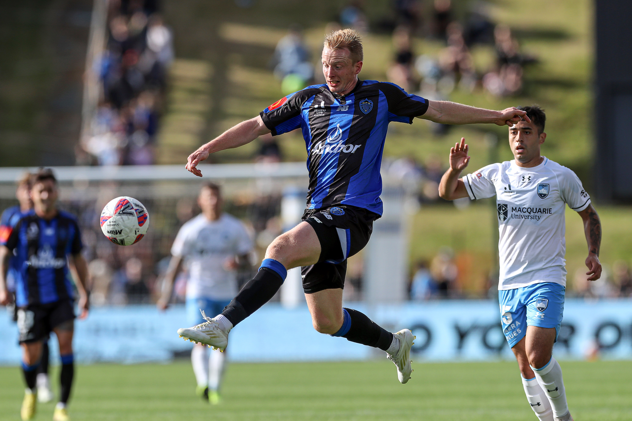 Auckland FC's Francis de Vries had a standout season. Photo / Photosport