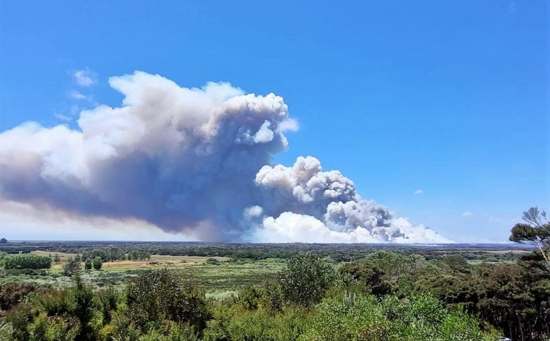 Smoke billows from the Kaimaumau fire during the January breakout. Photo / supplied
