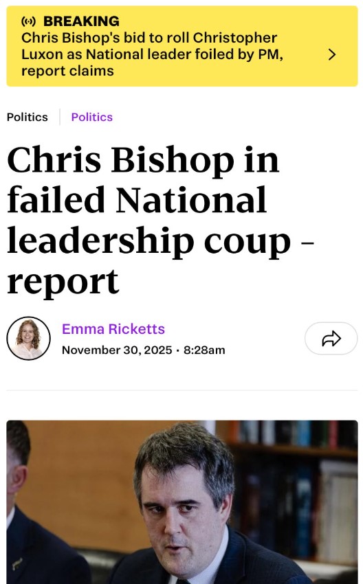 The Stuff story that vanished. Screenshot / Ani O'Brien, X