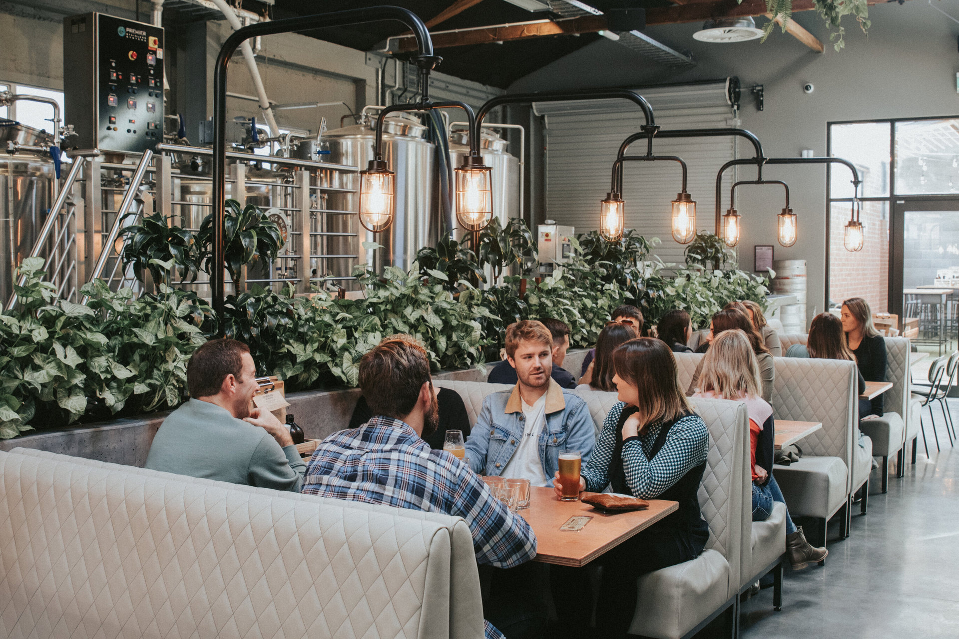 Shining Peak brewery in New Plymouth. Photo / Natalie Waugh