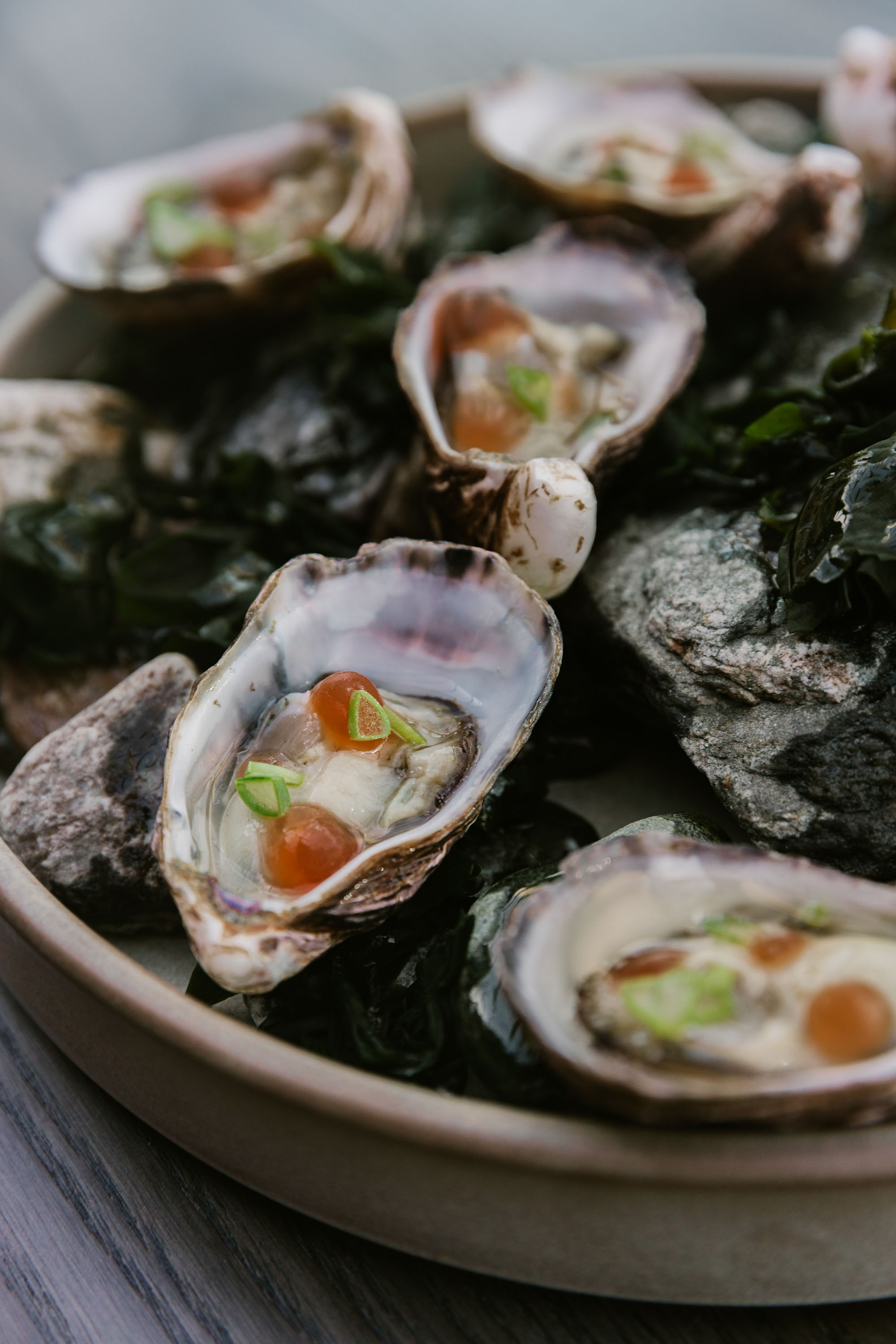 The menu comprises dishes that pair beautifully with wine, like oysters. Photo / Isabella Rubie