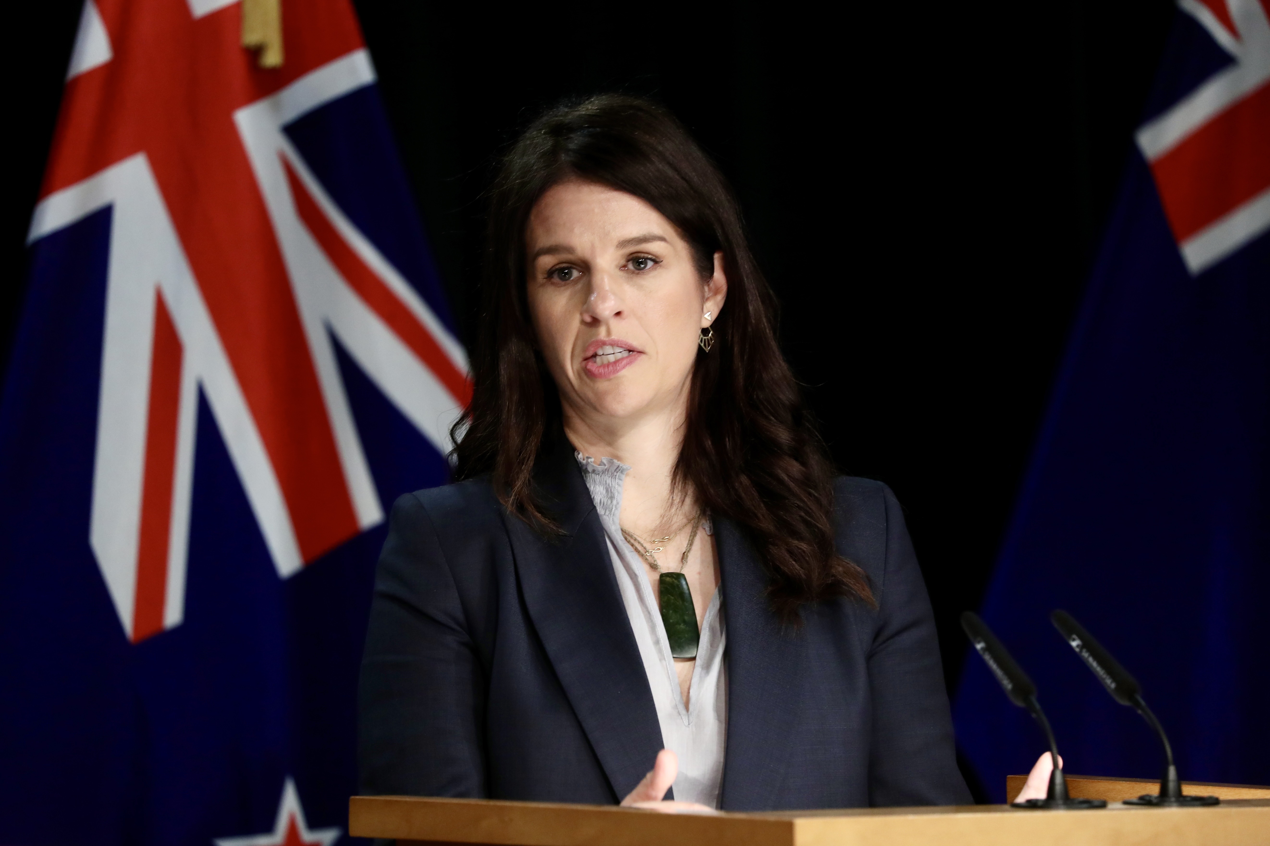 Erica Stanford, the minister responsible for the Government's response to the report on abuse in care. Photo / Mark Mitchell