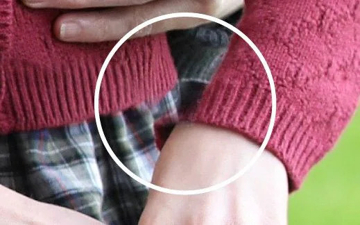 It looks like a bad Photoshop job, says one expert.