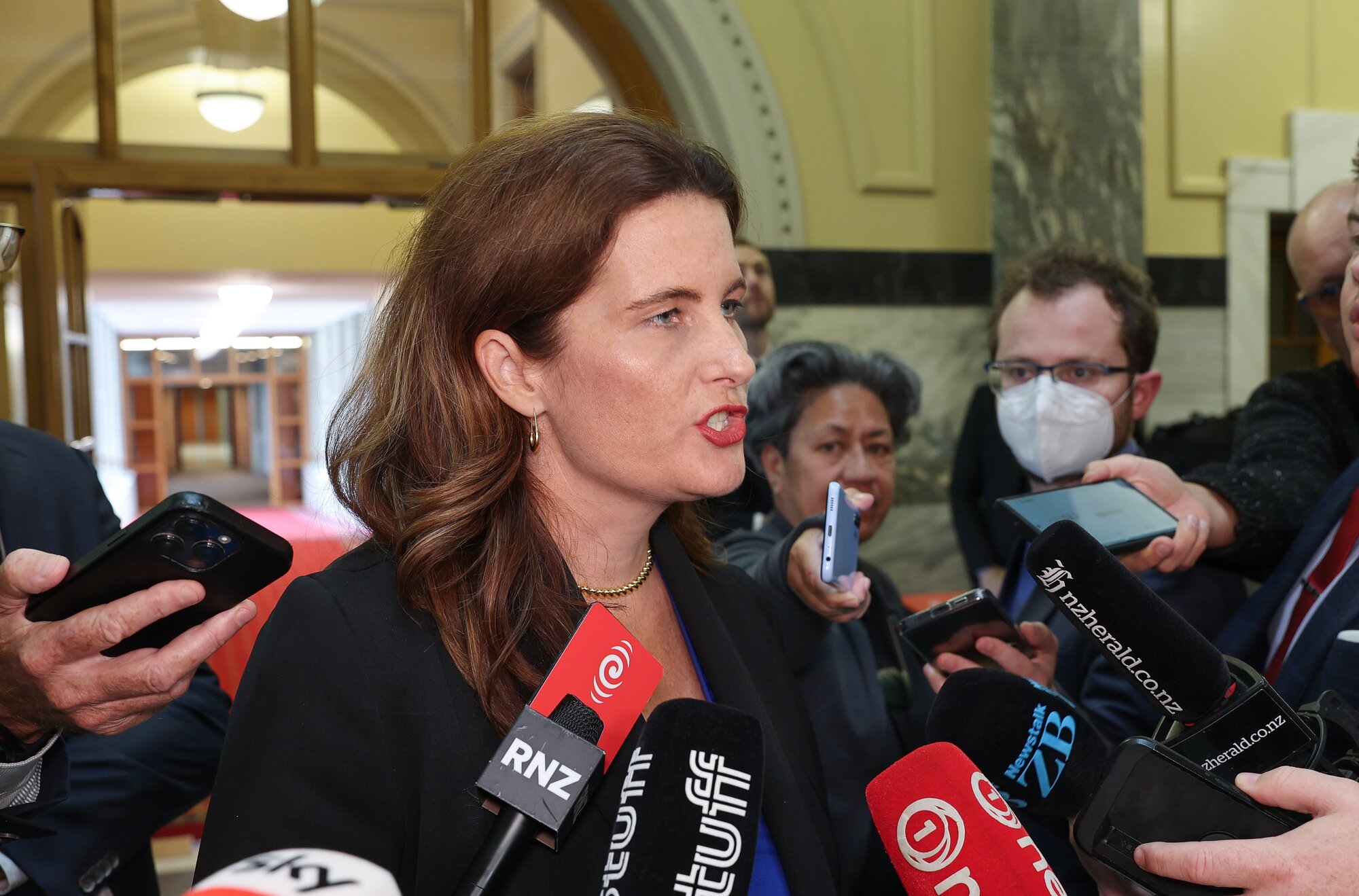 Nicola Willis is expected to provide a supermarket update this weekend. Photo / Mark Mitchell