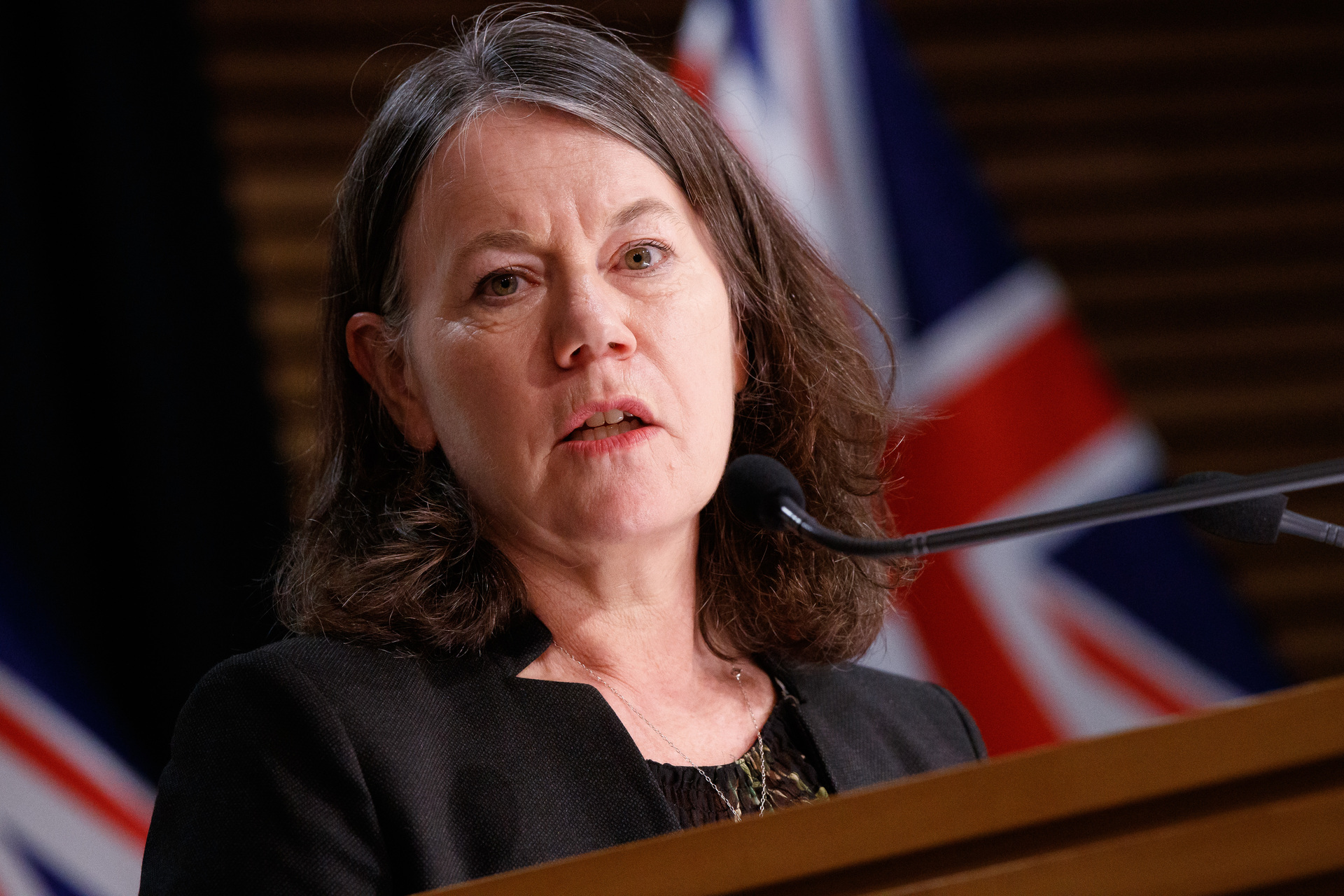 Director of public health Dr Caroline McElnay has urged those with Covid isolating at home to call for medical help immediately once they need it. Photo / Robert Kitchin