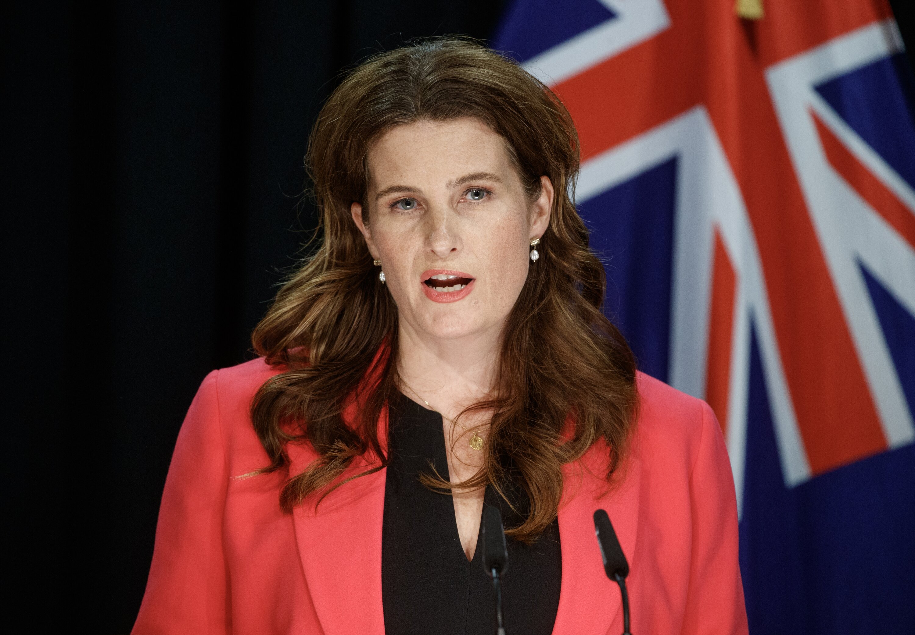 Finance Minister Nicola Willis is expected to stick to a tight operating allowance of $2.4 billion in Budget 2025. Photo / Mark Mitchell