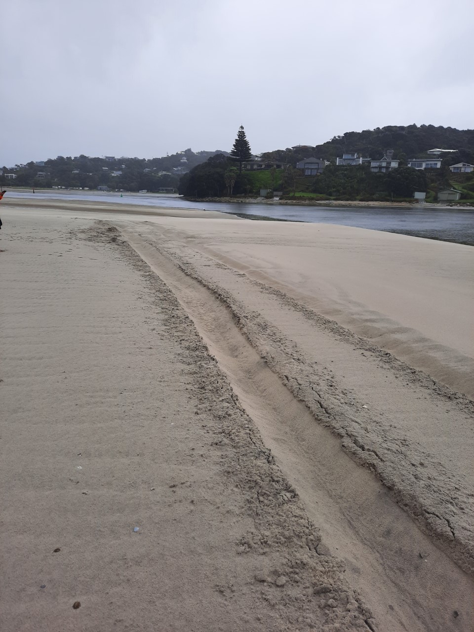 Tyre tracks at Mangawhai wildlife refuge from a private vehicle that illegally accessed the tara iti/New Zealand fairy tern reserve. Photo / DoC